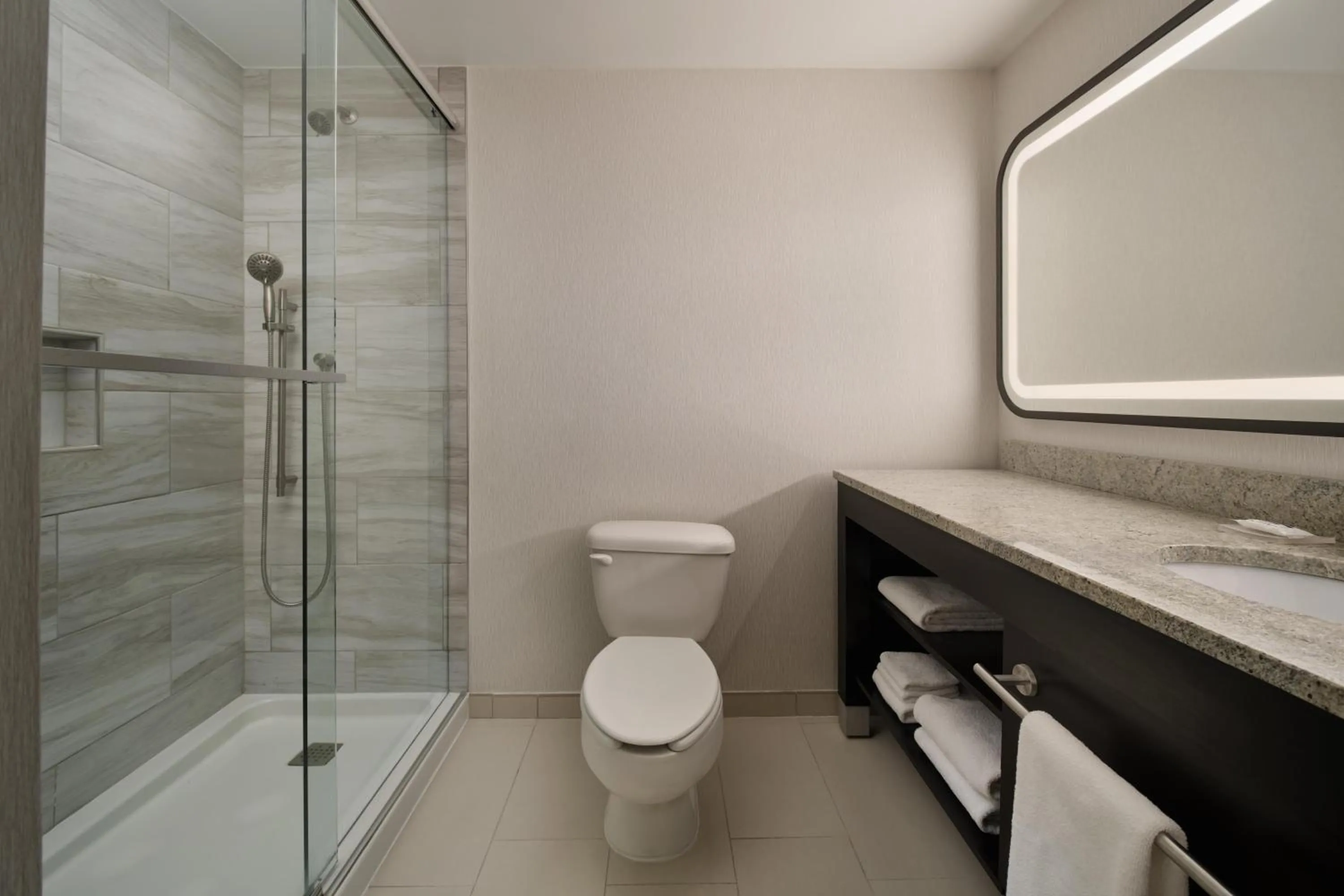 Bathroom in Hyatt Regency Suites Atlanta Northwest