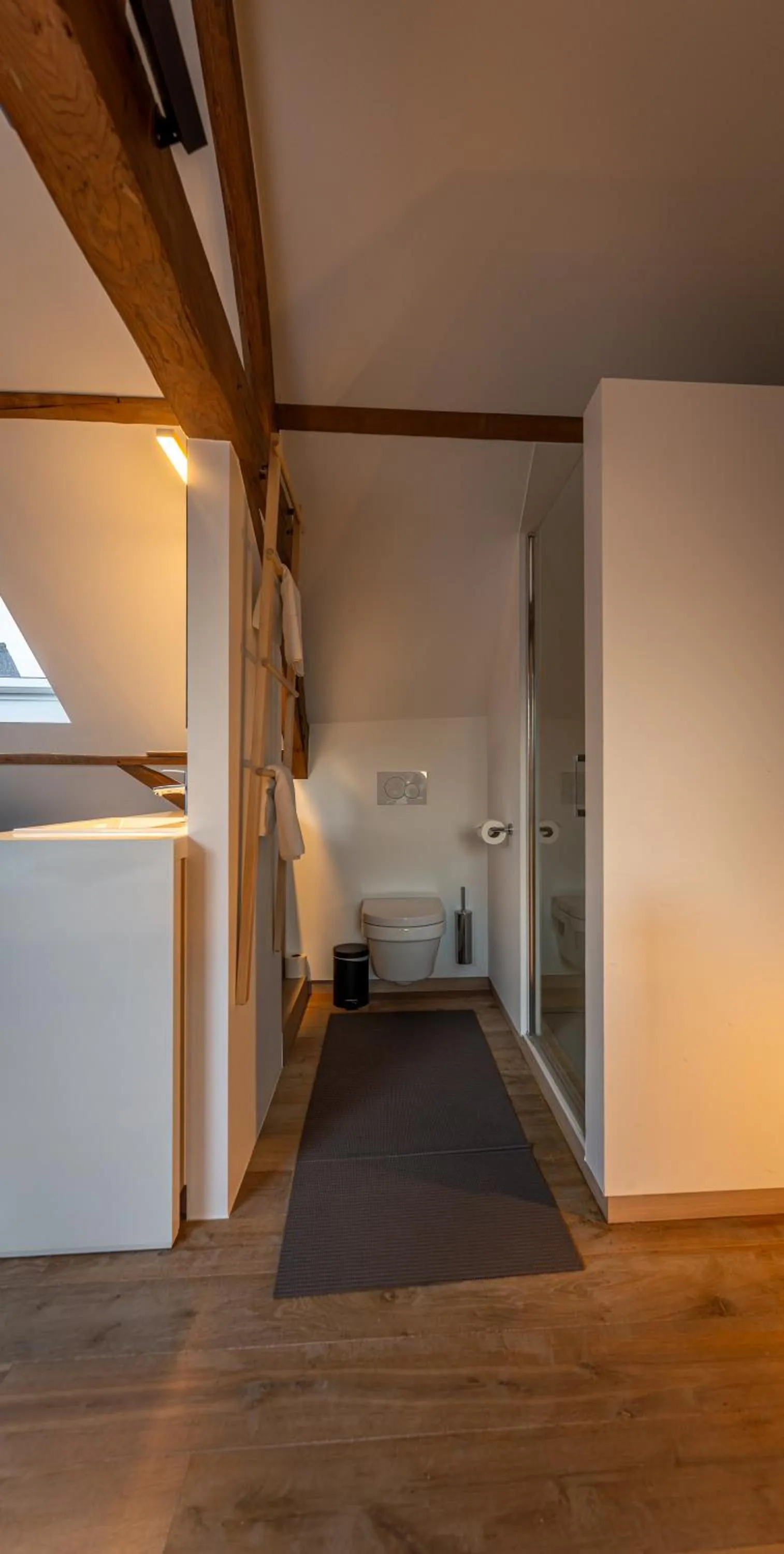 Toilet in Maison de la Paix