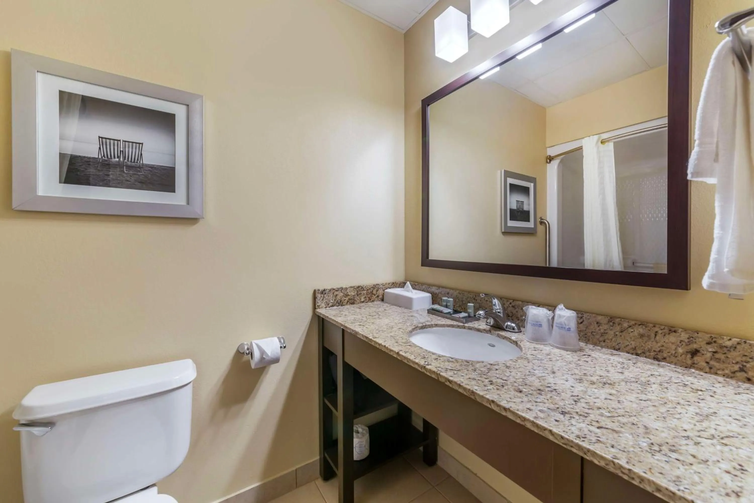 Bathroom in Best Western Naples Plaza Hotel