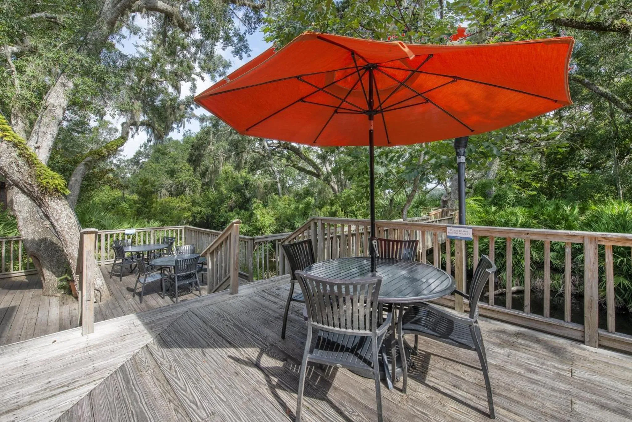 Restaurant/places to eat in Omni Amelia Island Resort & Spa