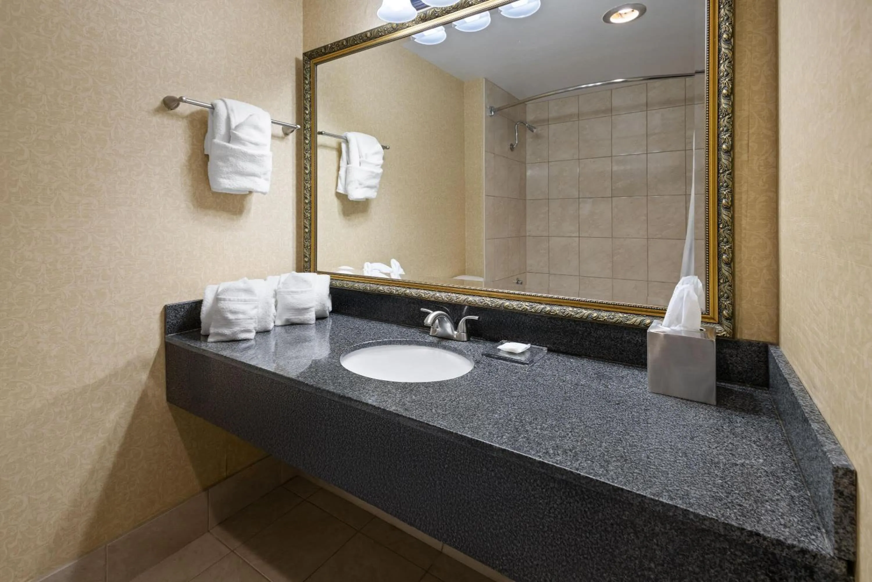 Bathroom in Penn Harris Hotel Harrisburg, Trademark by Wyndham