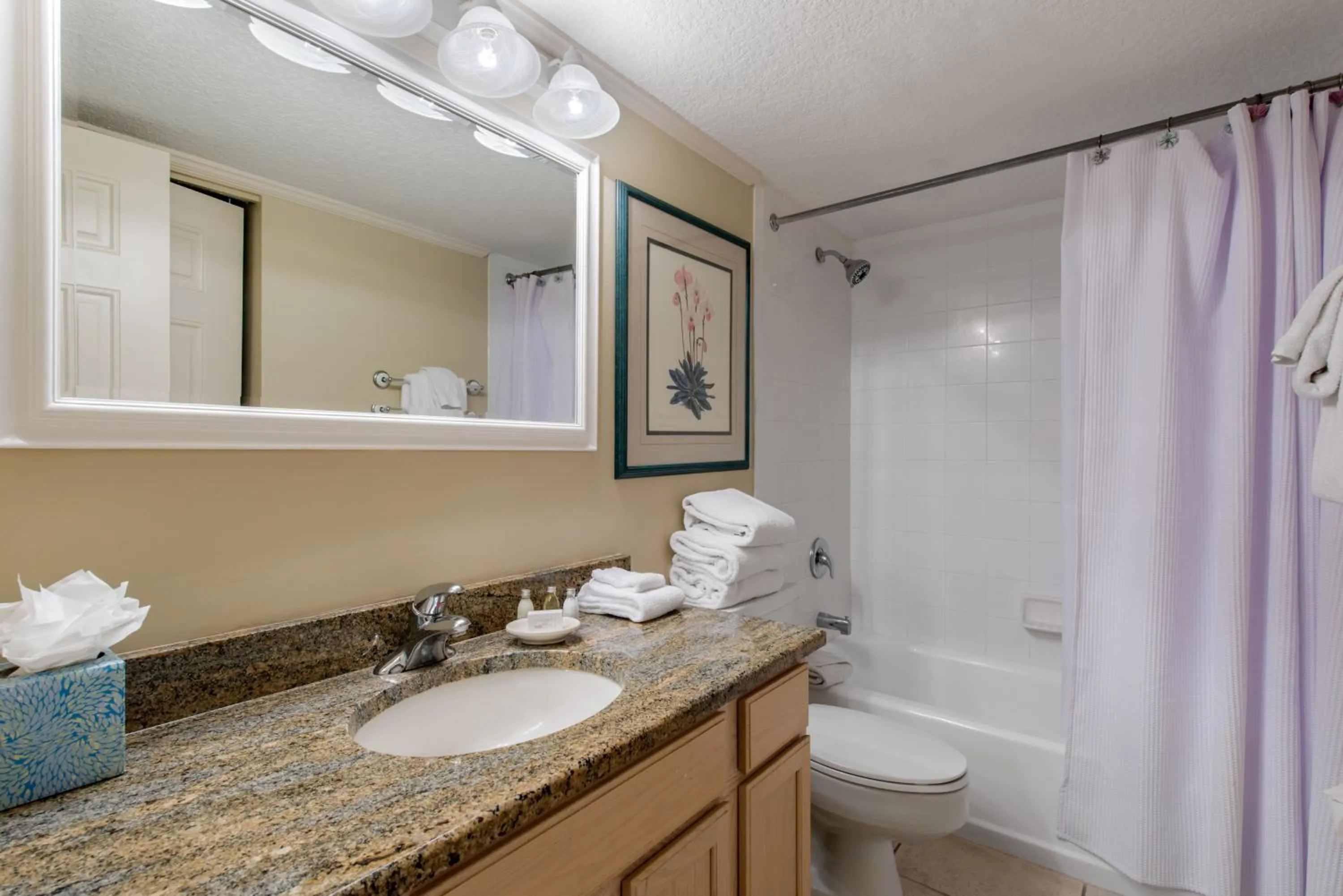 Toilet in Villas Of Amelia Island