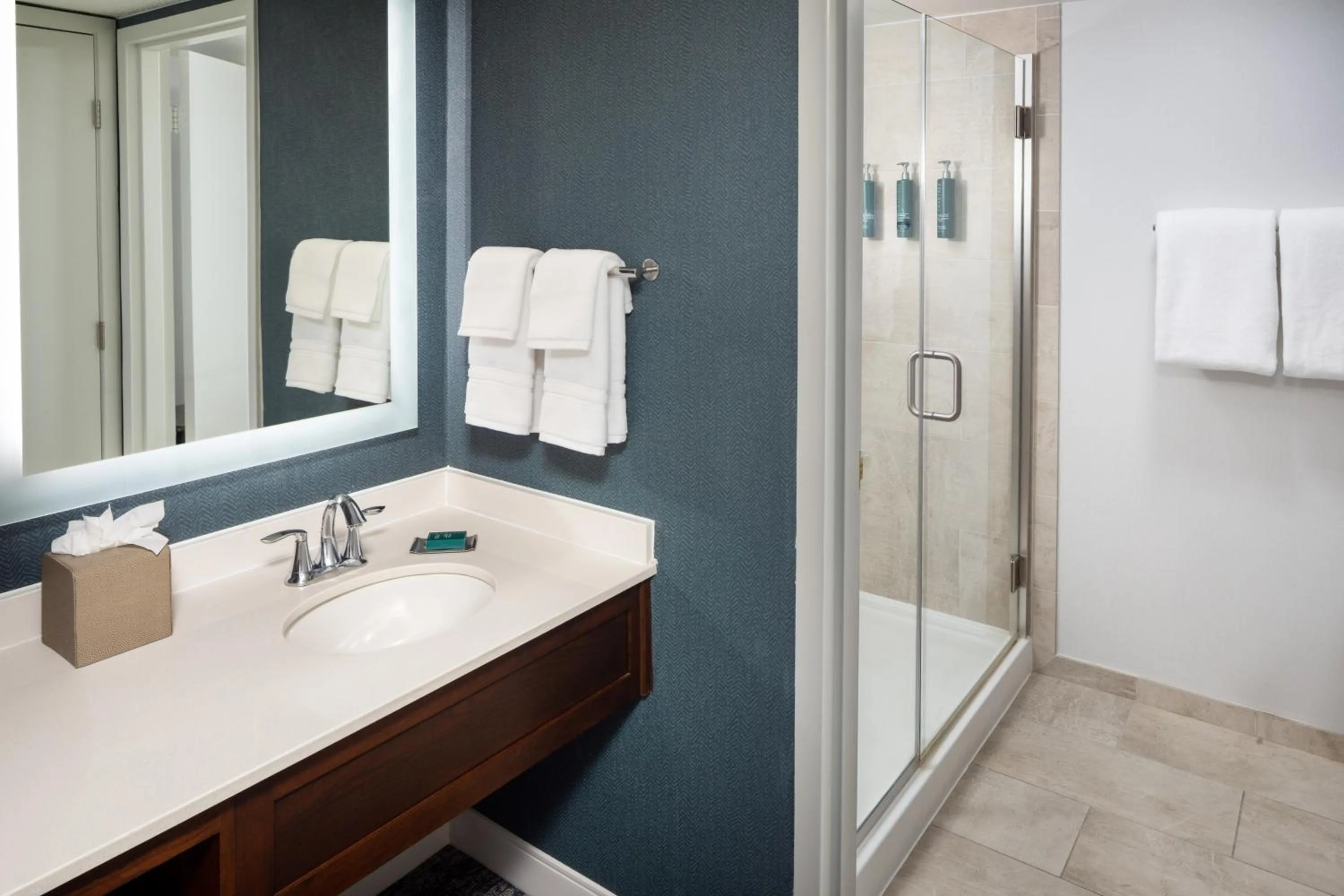 Bathroom in DoubleTree by Hilton Boston-Andover