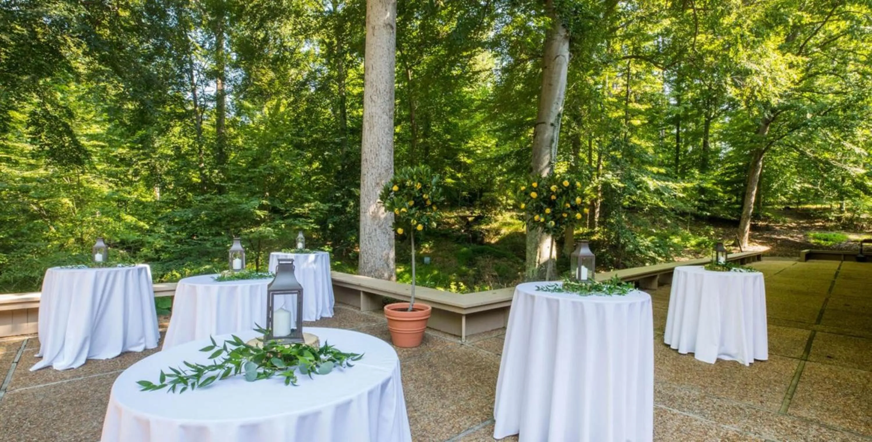 Banquet/Function facilities in Williamsburg Woodlands Hotel & Suites, an official Colonial Williamsburg Hotel