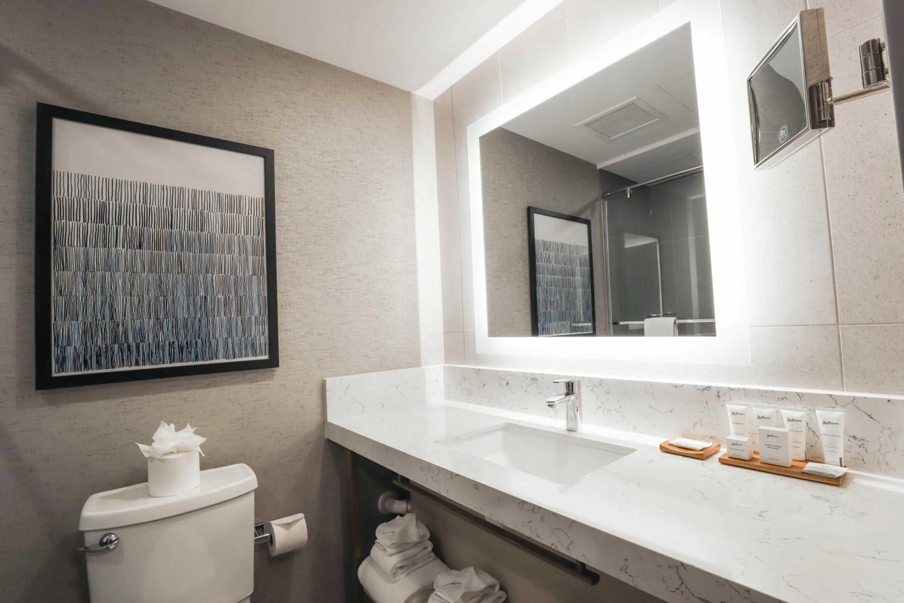 Bathroom in Radisson Plaza Hotel at Kalamazoo Center