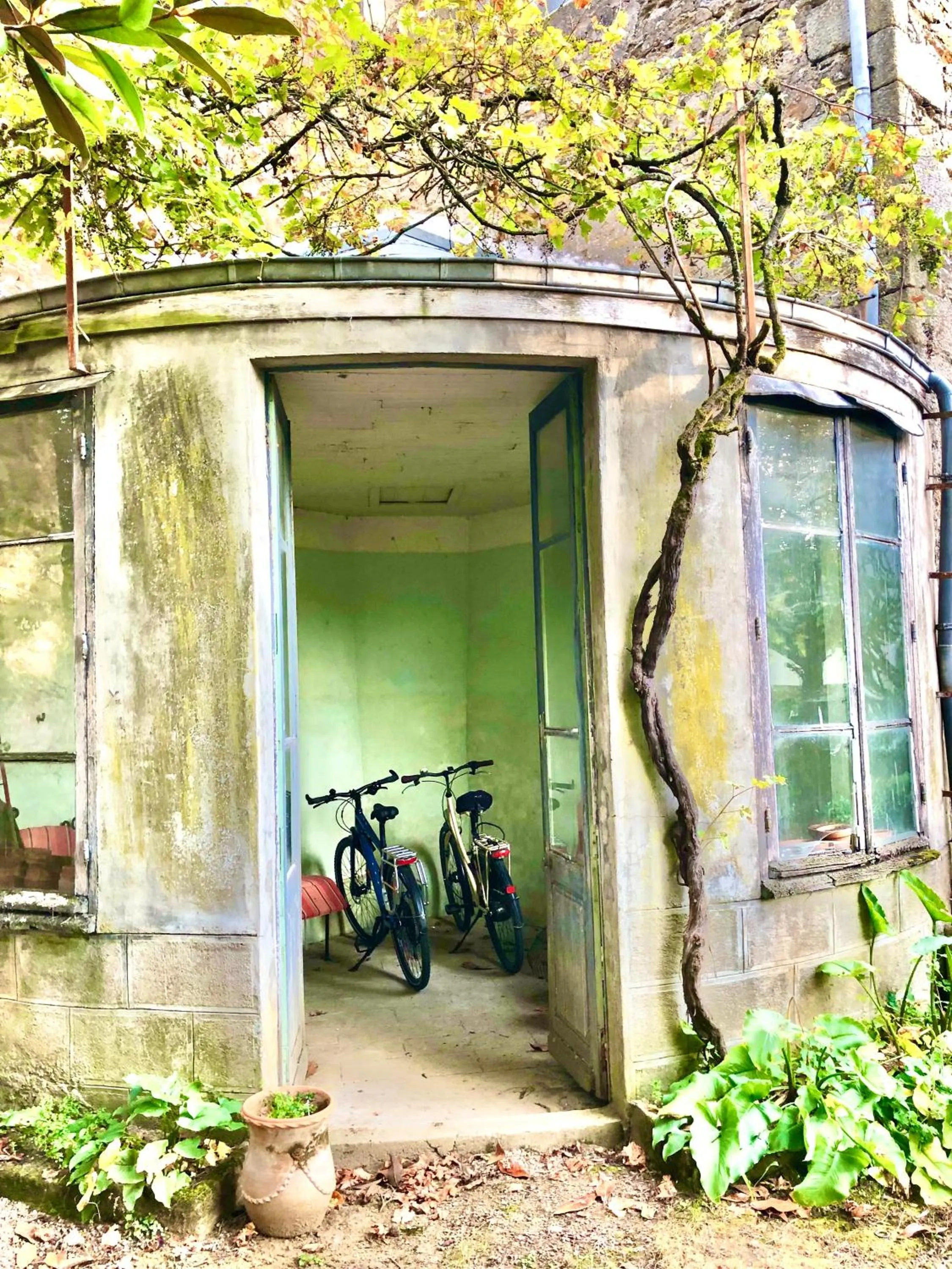 Cycling in L'Hotel de Hercé Chambre d'Hote