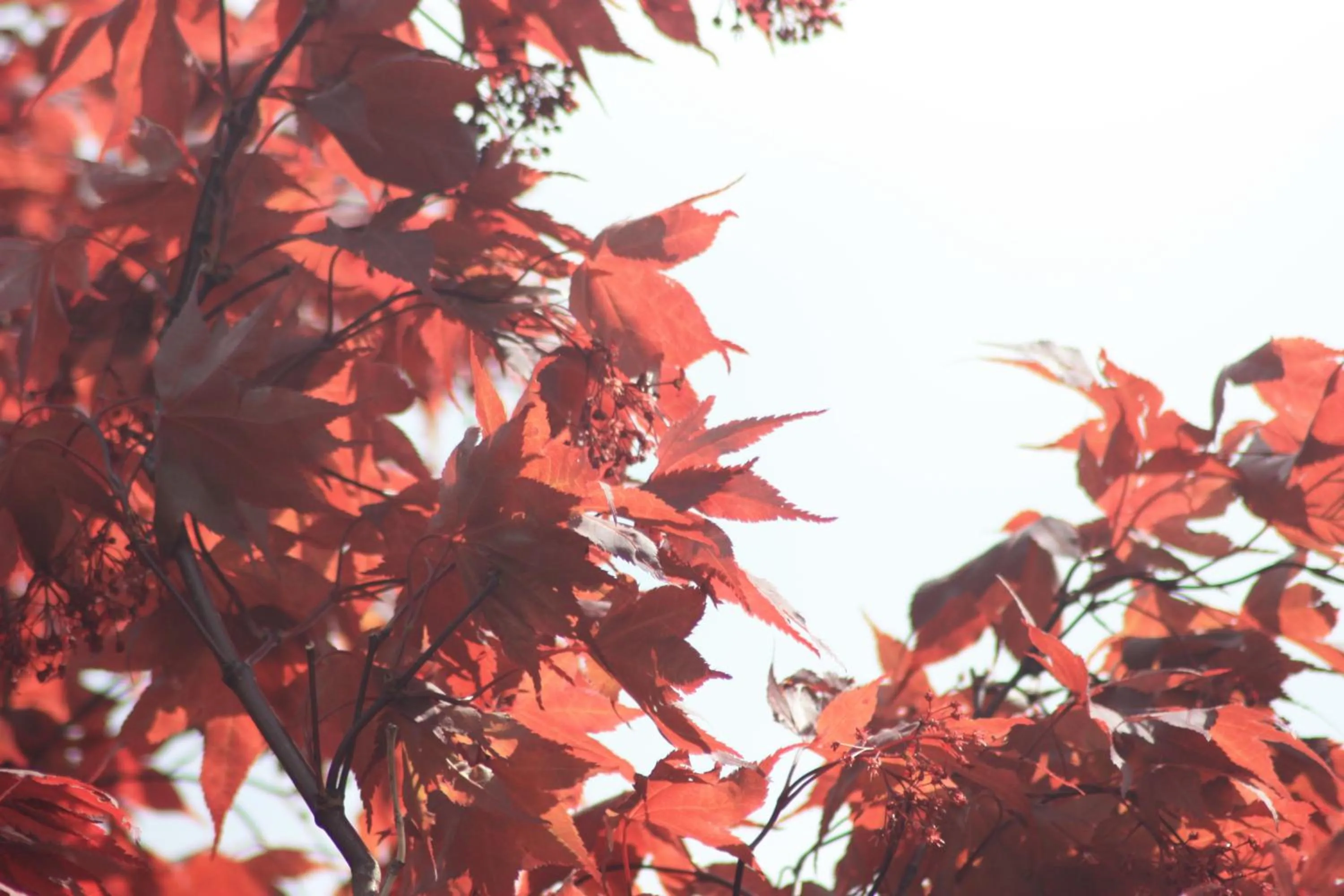 Day in Lodge of Four Seasons Golf Resort, Marina & Spa