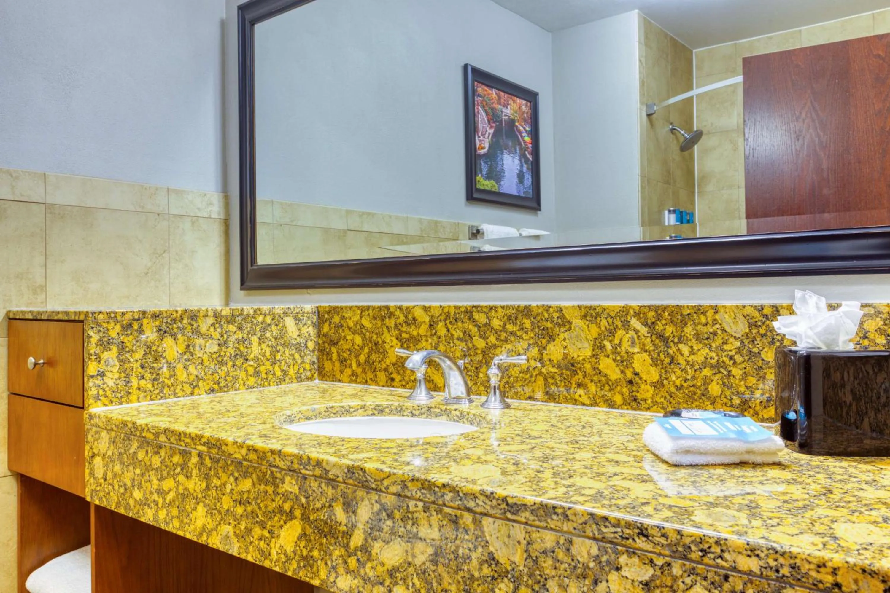 Bathroom in Drury Plaza Hotel San Antonio Riverwalk