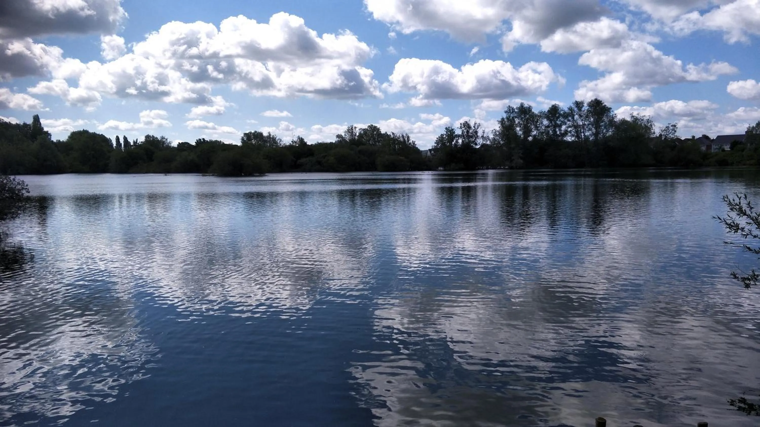 Lake view in Mallard Cottage Guest House