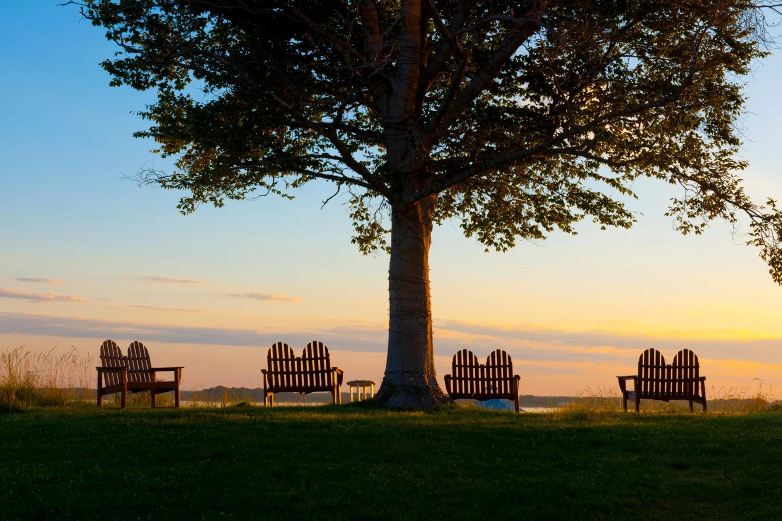 View (from property/room) in Hyatt Regency Chesapeake Bay Golf Resort, Spa & Marina