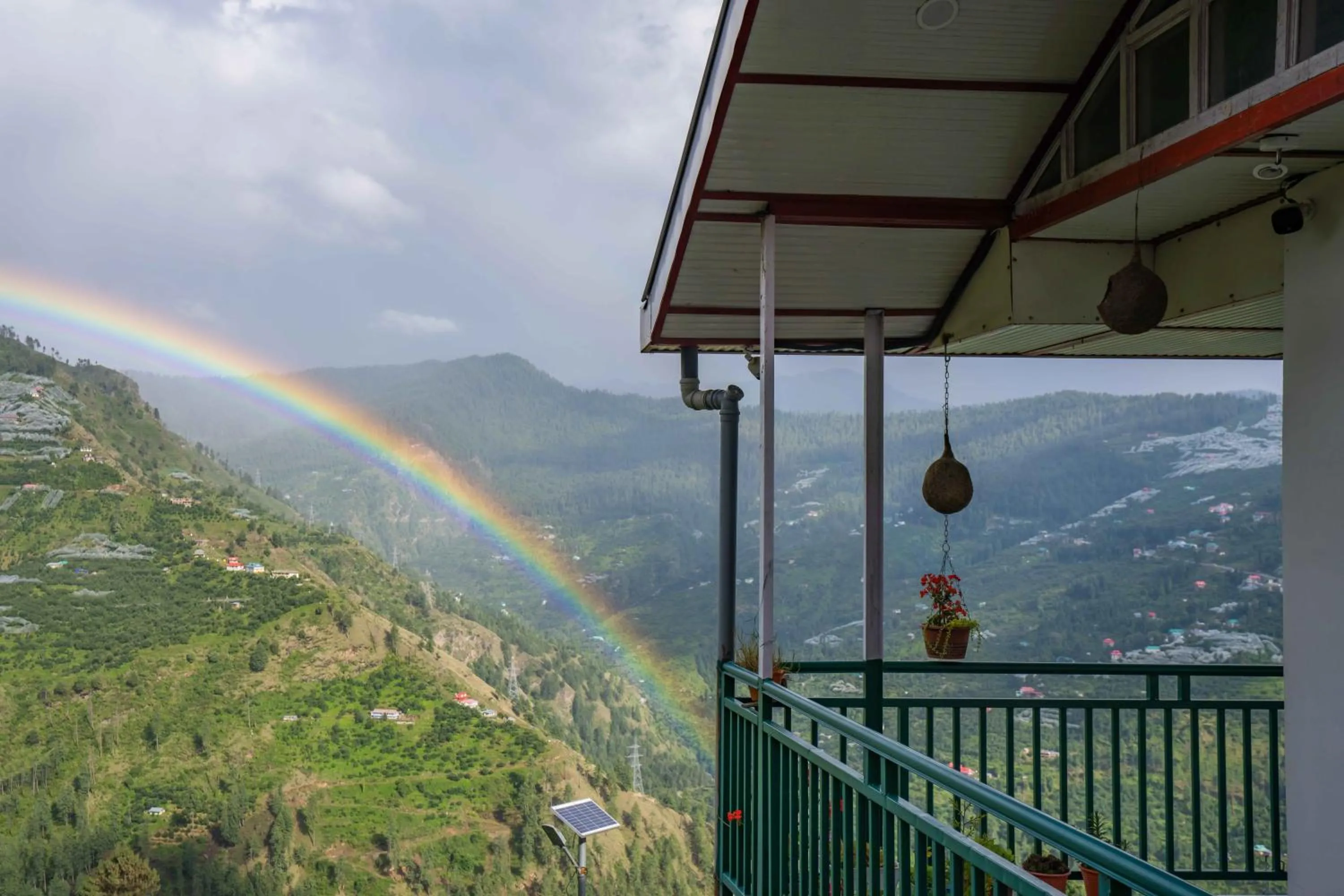 View (from property/room) in Zostel Homes Kotkhai (Shimla)