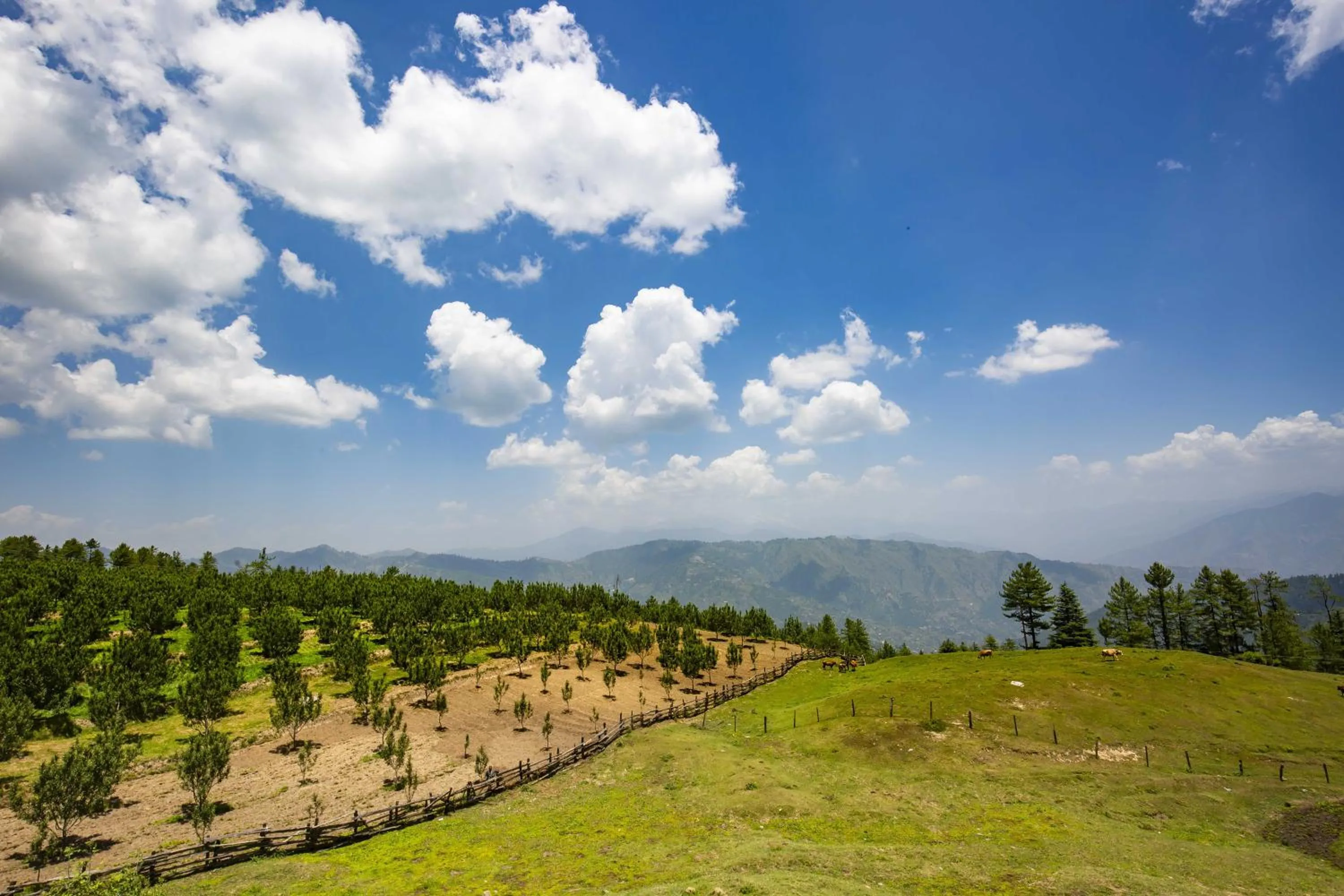 Natural landscape in Zostel Homes Kotkhai (Shimla)