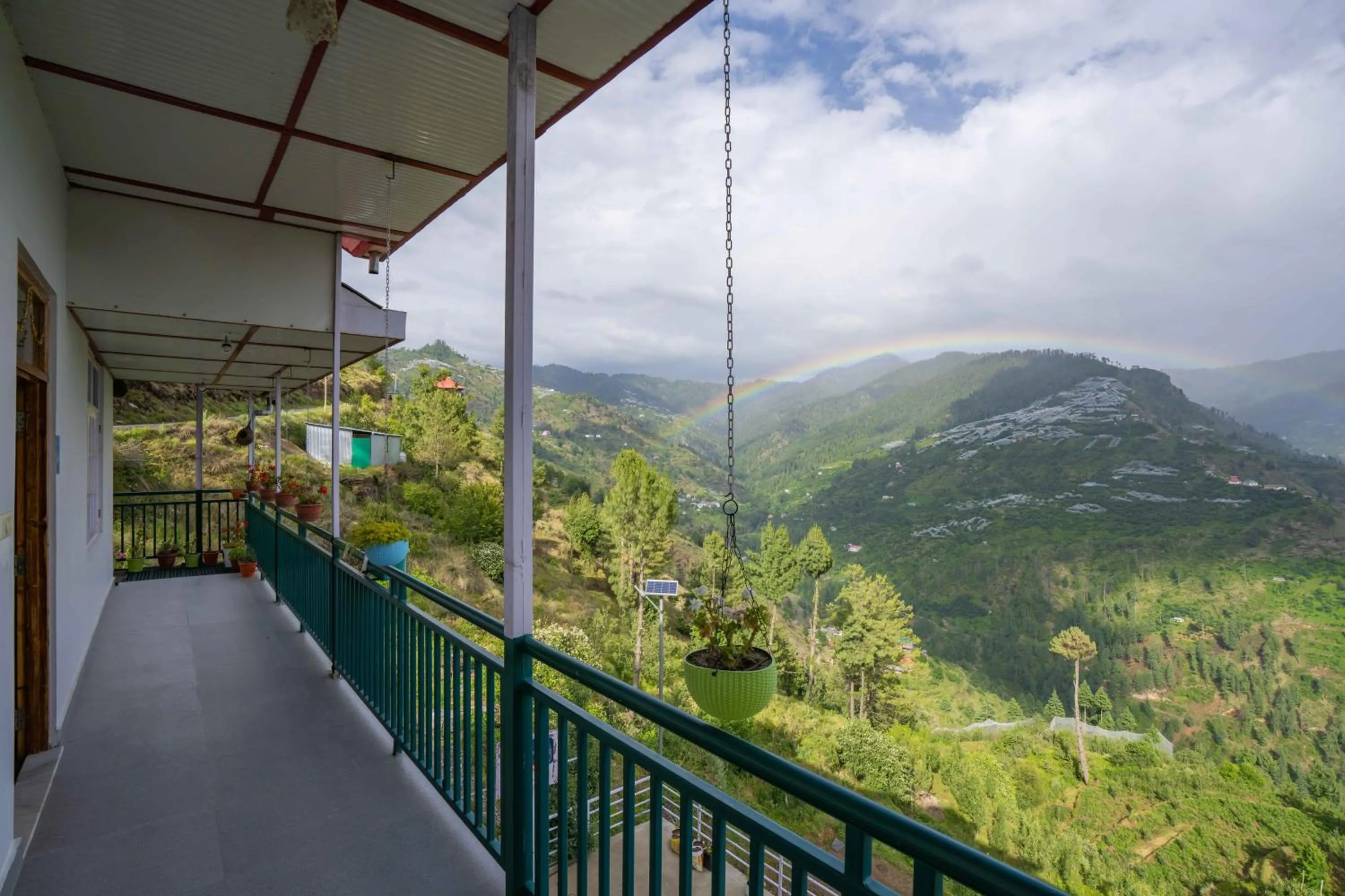 View (from property/room) in Zostel Homes Kotkhai (Shimla)