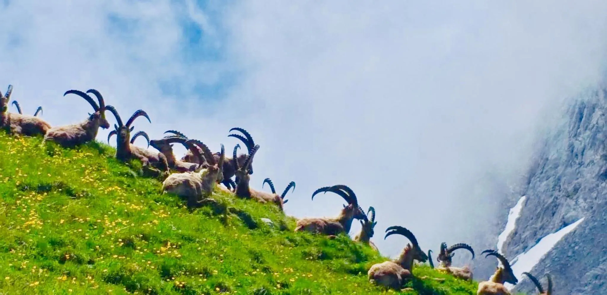 Au Refuge de Blanche