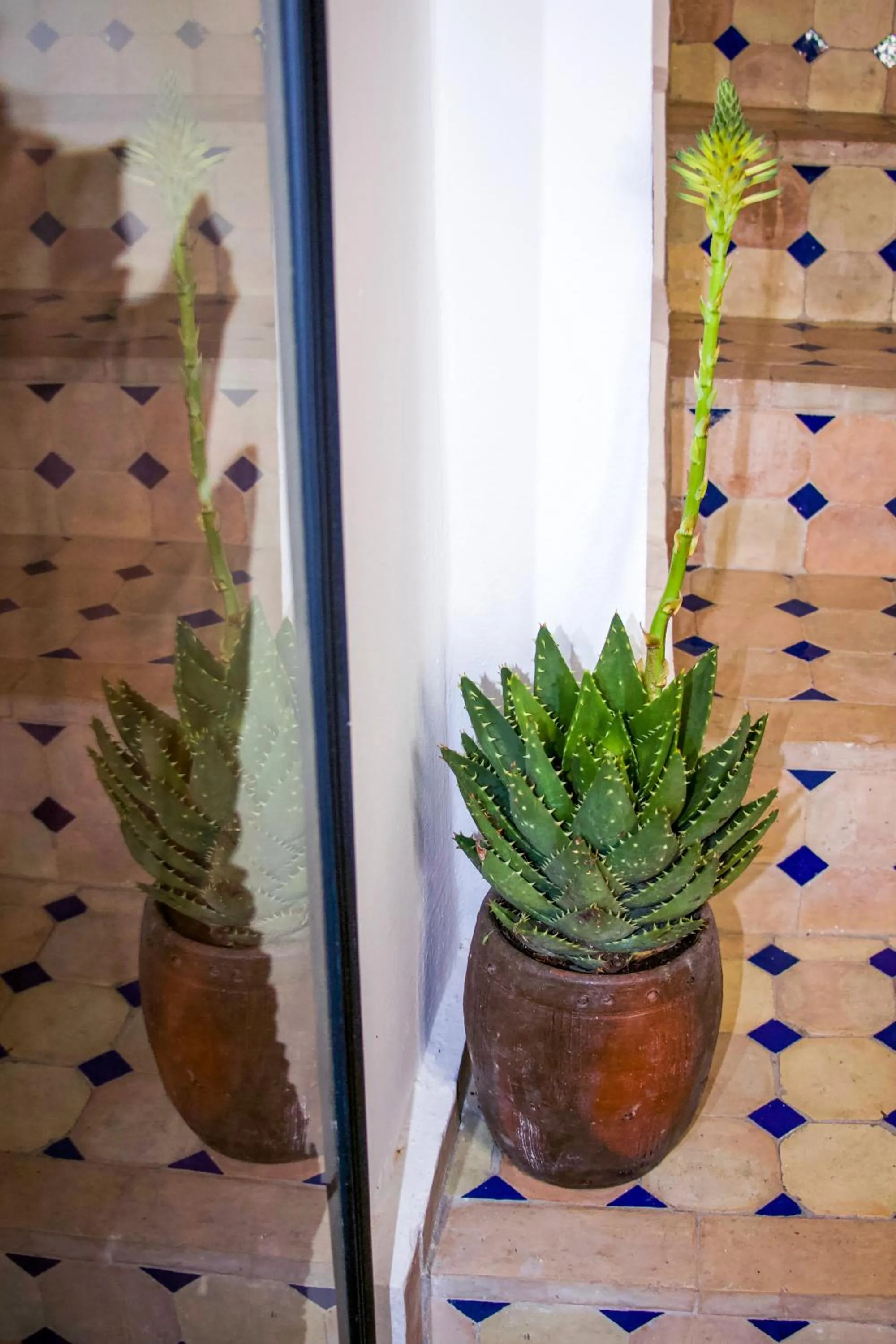 Decorative detail in Dar Tinjâa