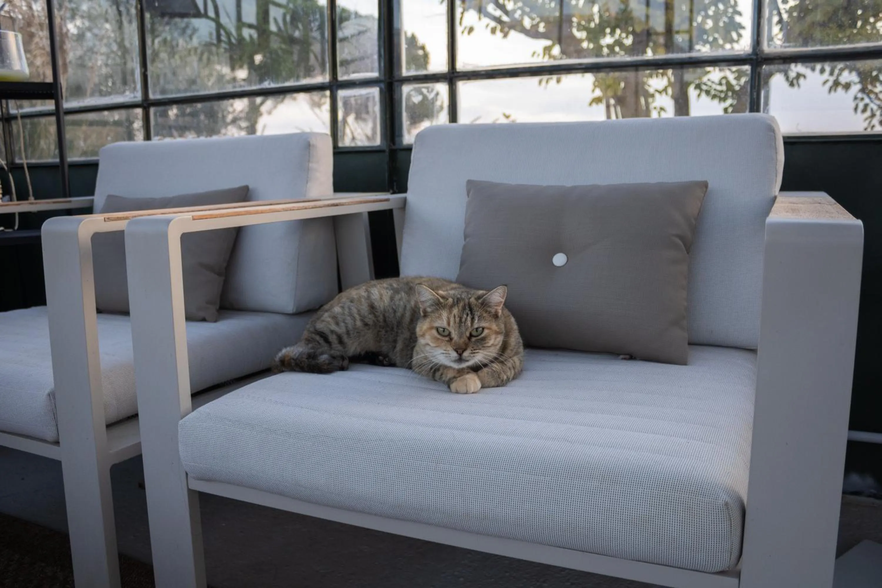 Living room in Villa Ada-Trulli Puglia