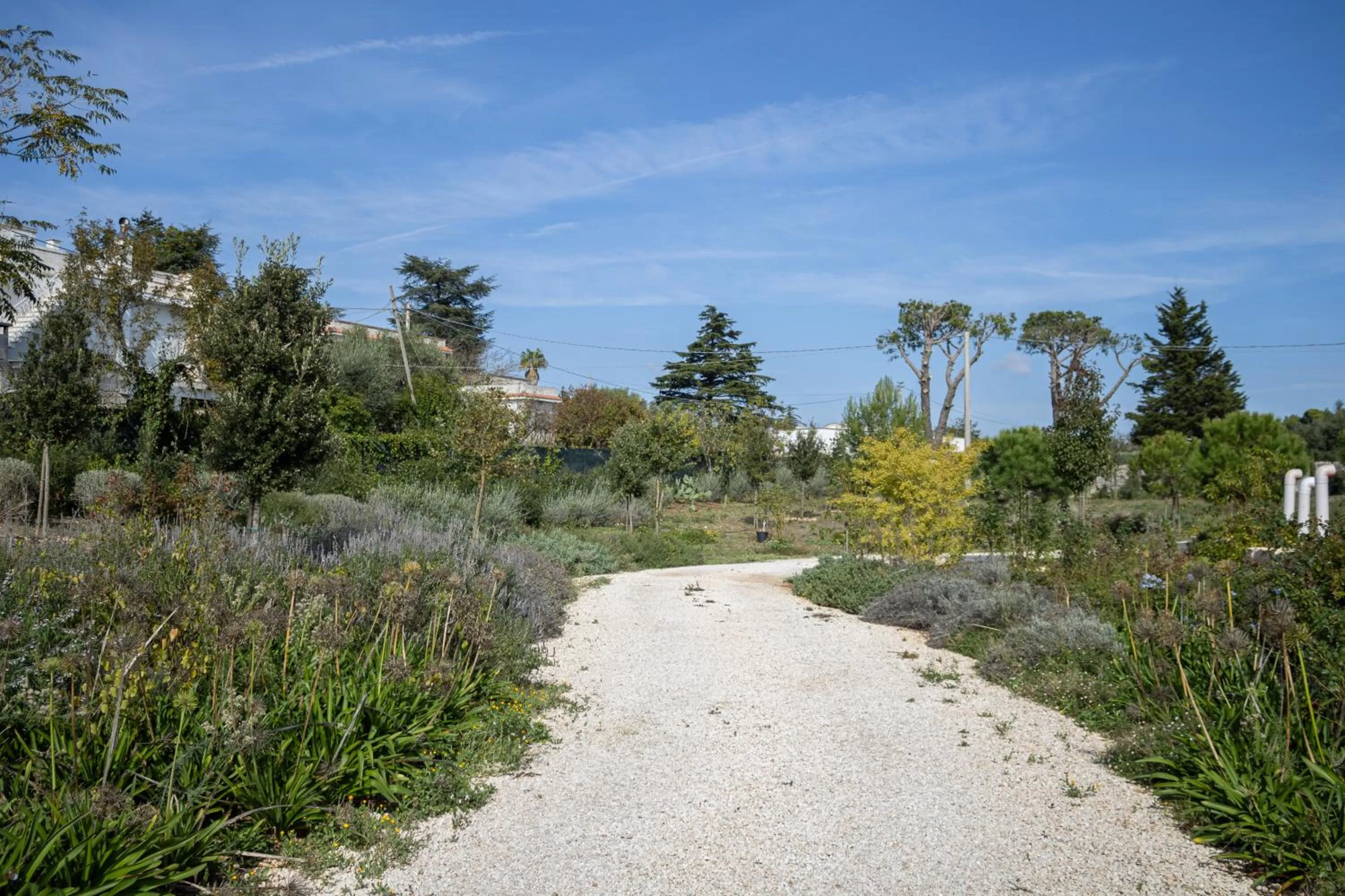 Spring in Villa Ada-Trulli Puglia