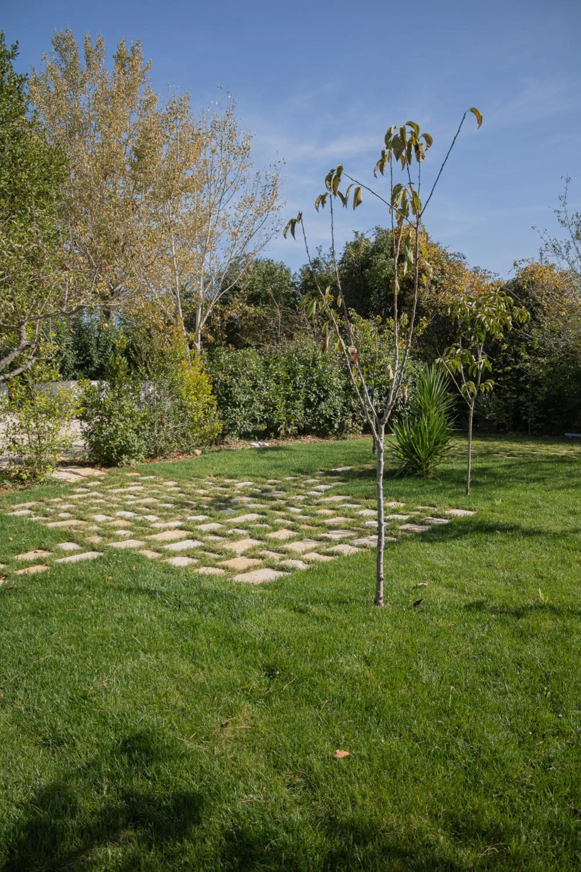 Spring in Villa Ada-Trulli Puglia