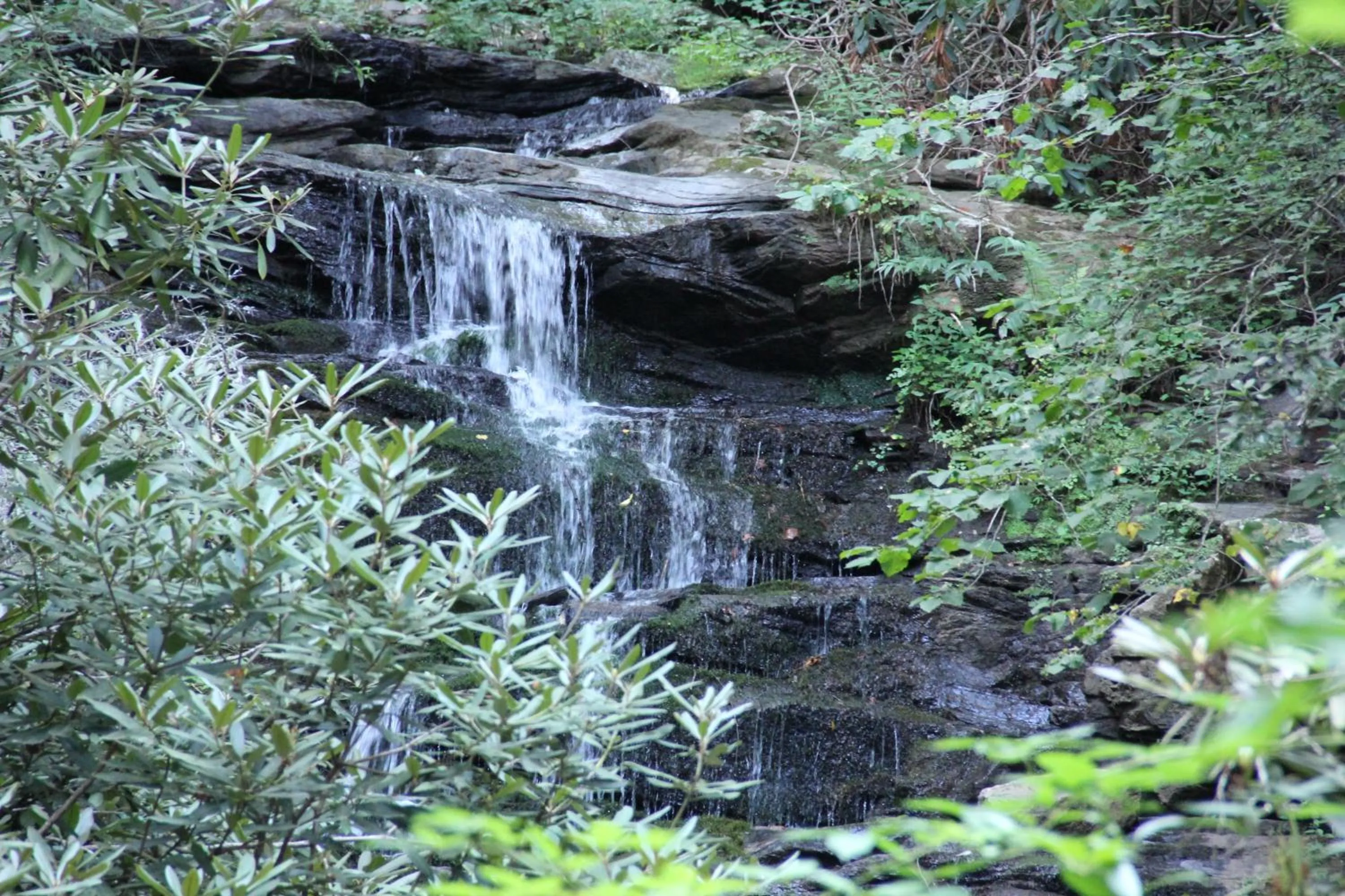 Other in Kingwood Resort & Golf Club