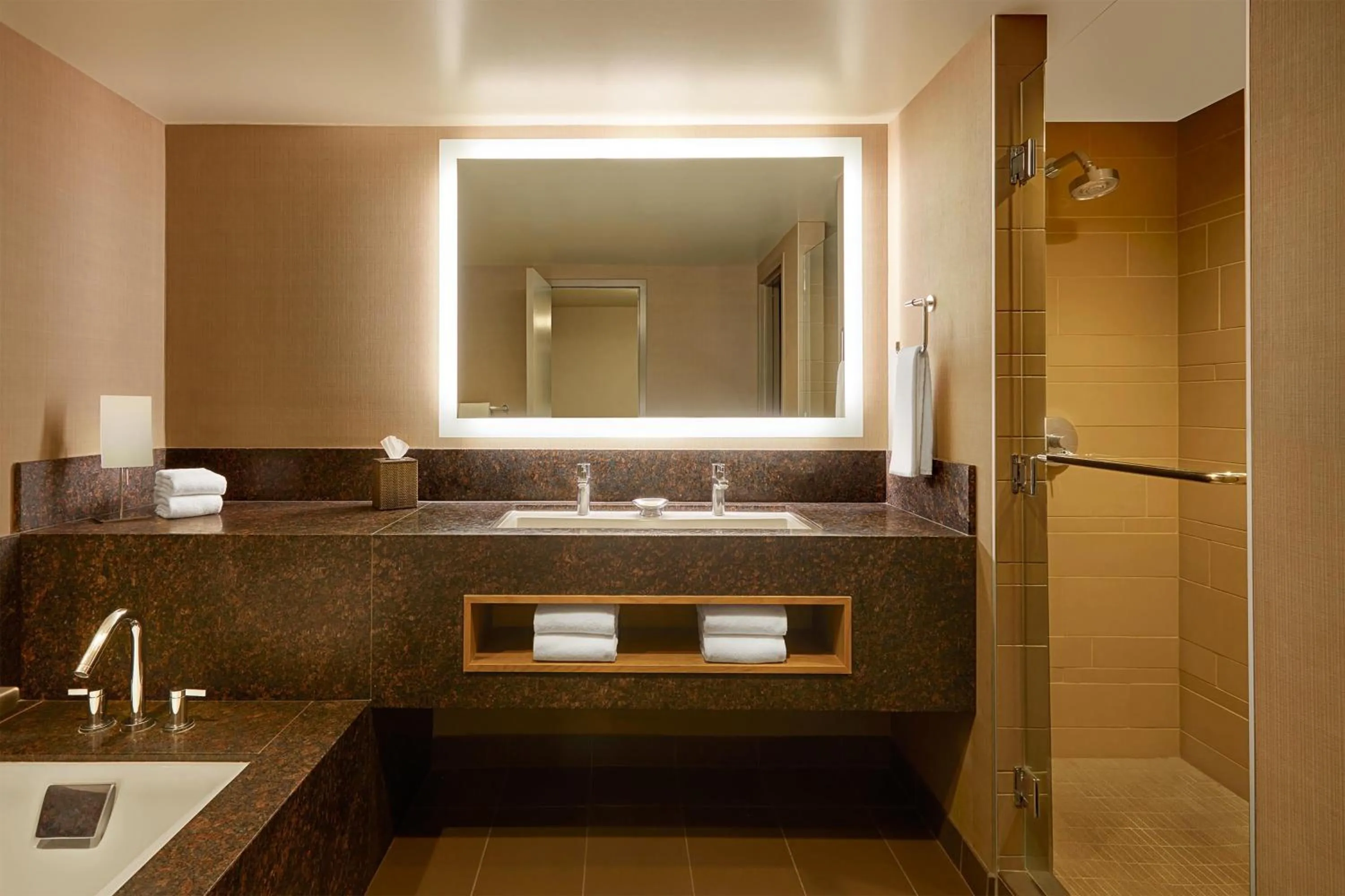 Bathroom in Hyatt Regency Lake Tahoe Resort, Spa & Casino