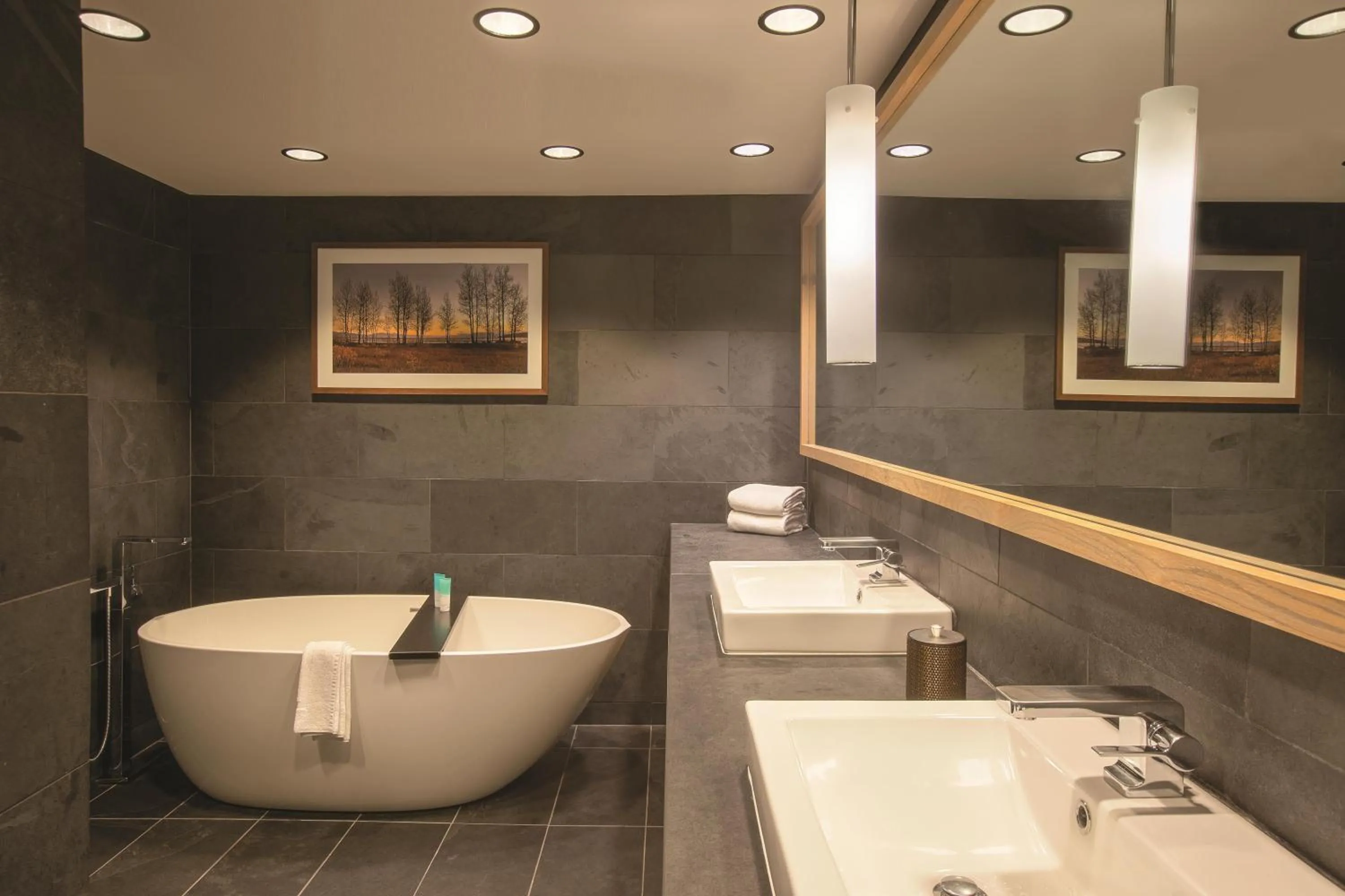 Bathroom in Hyatt Regency Lake Tahoe Resort, Spa & Casino