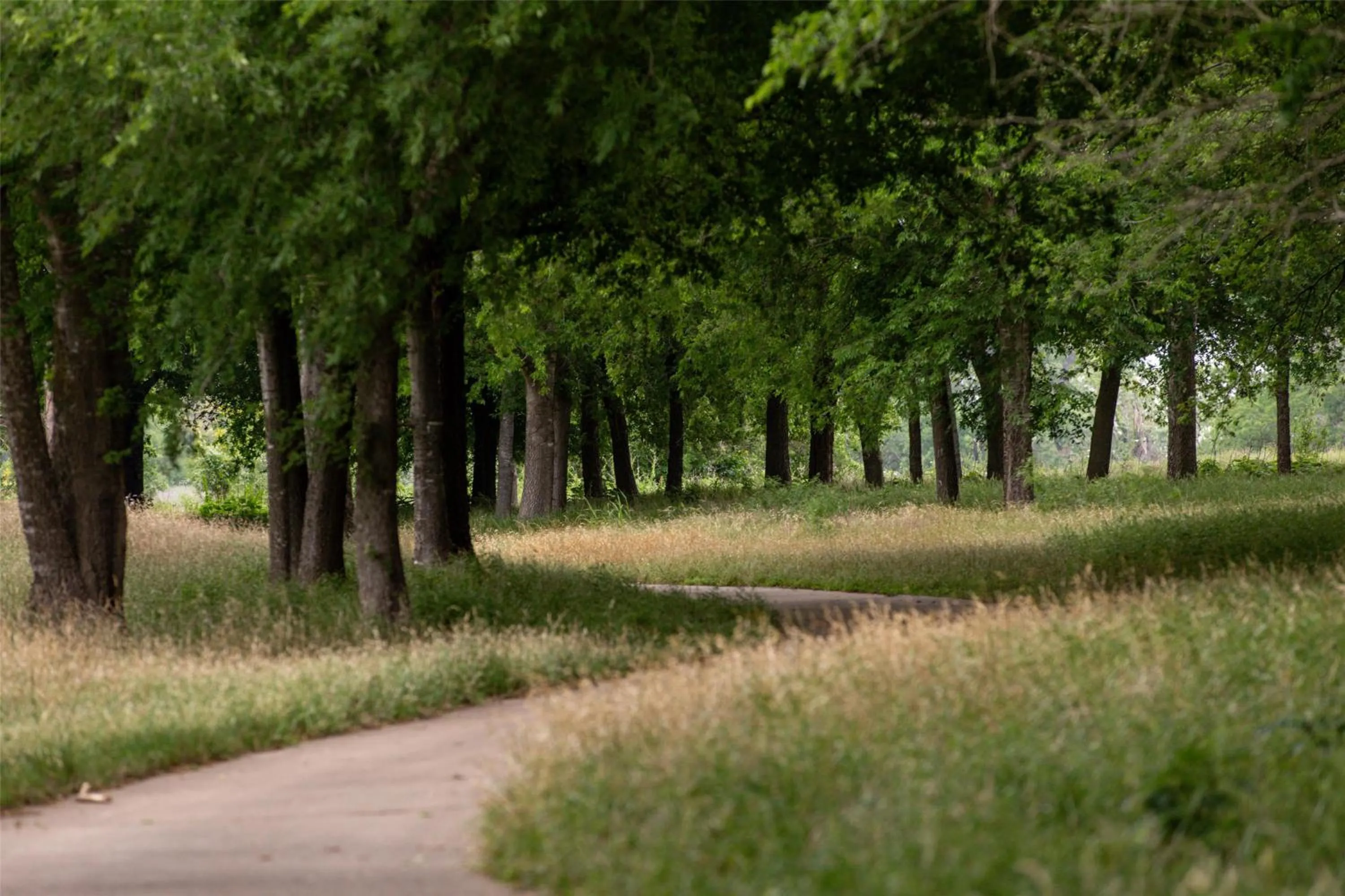 Fitness centre/facilities in Hyatt Regency Lost Pines Resort and Spa