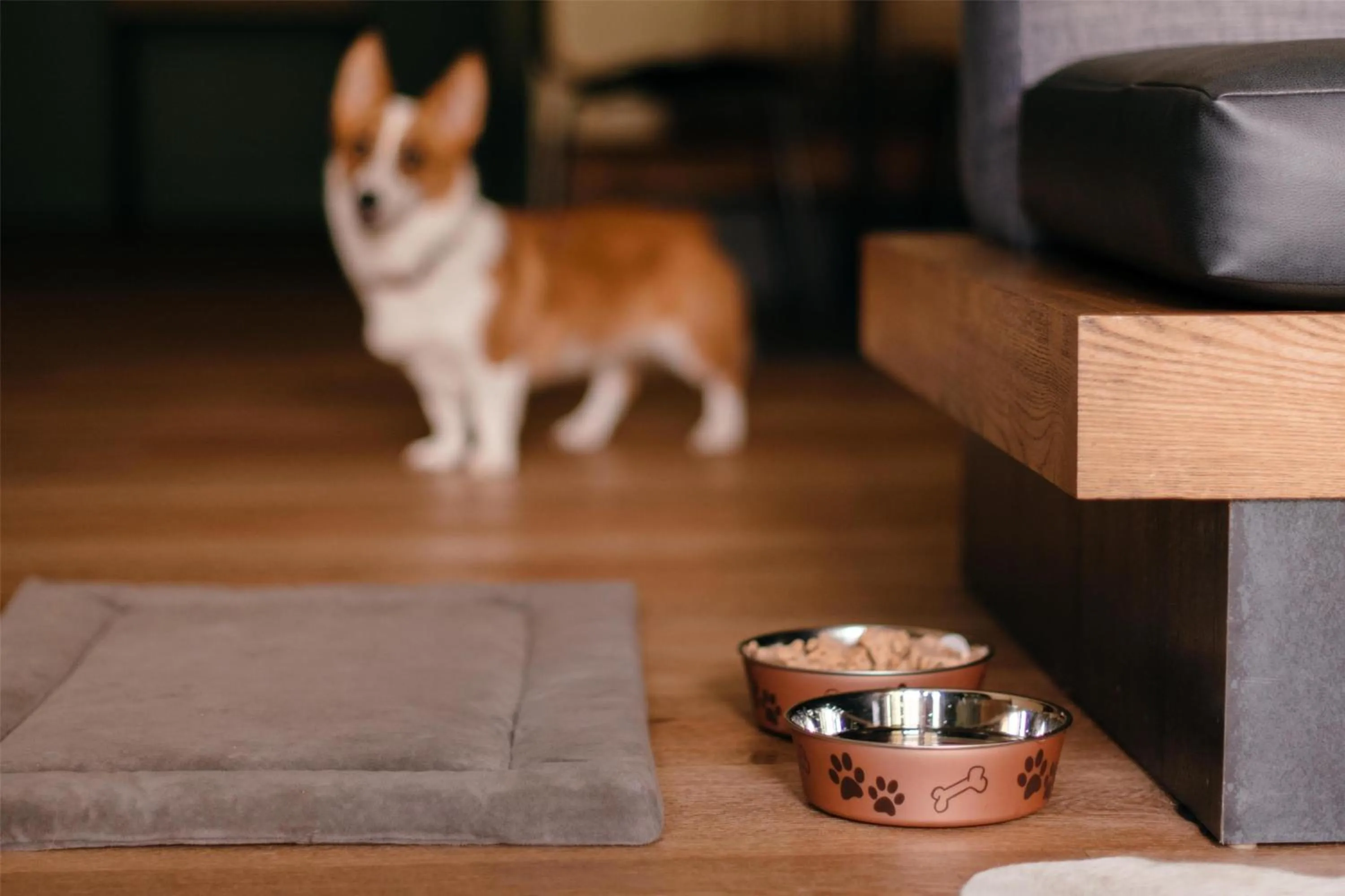 Hyatt Regency Lost Pines Resort and Spa