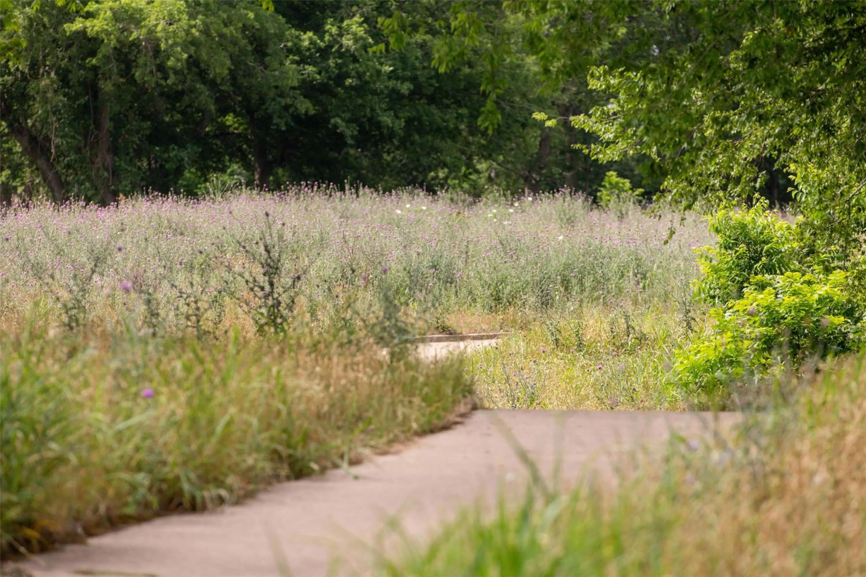 Fitness centre/facilities in Hyatt Regency Lost Pines Resort and Spa