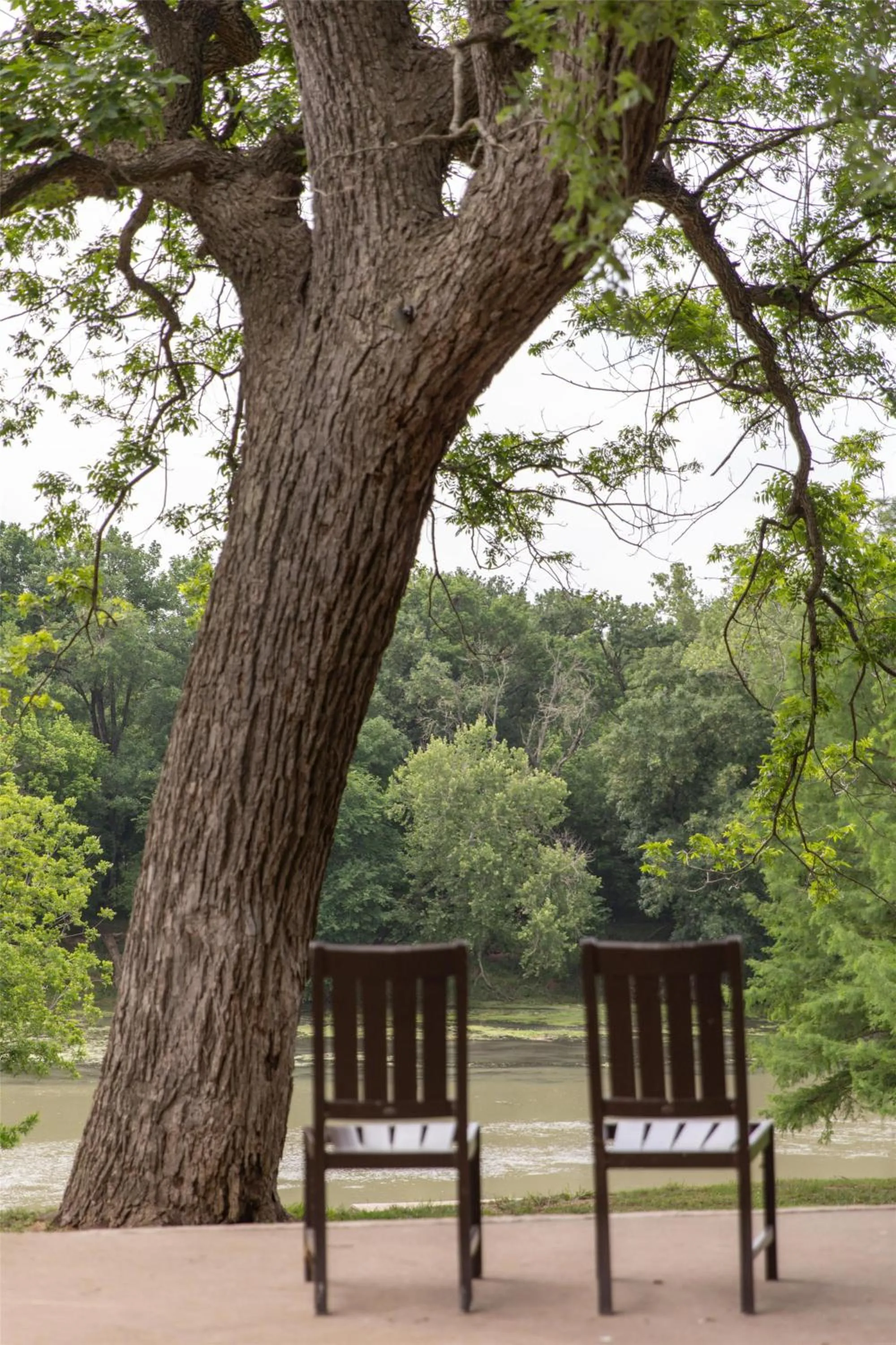 Patio in Hyatt Regency Lost Pines Resort and Spa