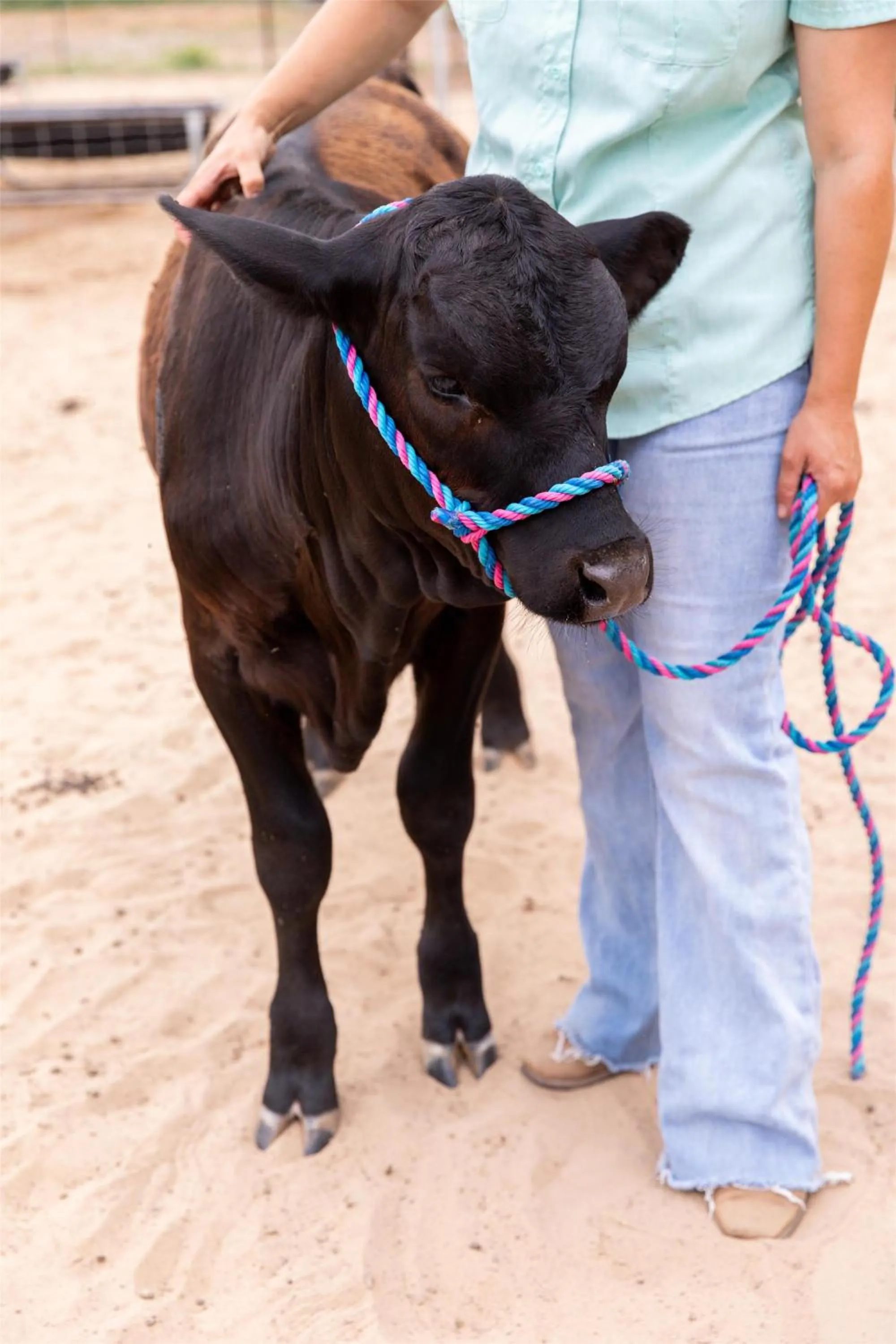 Fitness centre/facilities in Hyatt Regency Lost Pines Resort and Spa