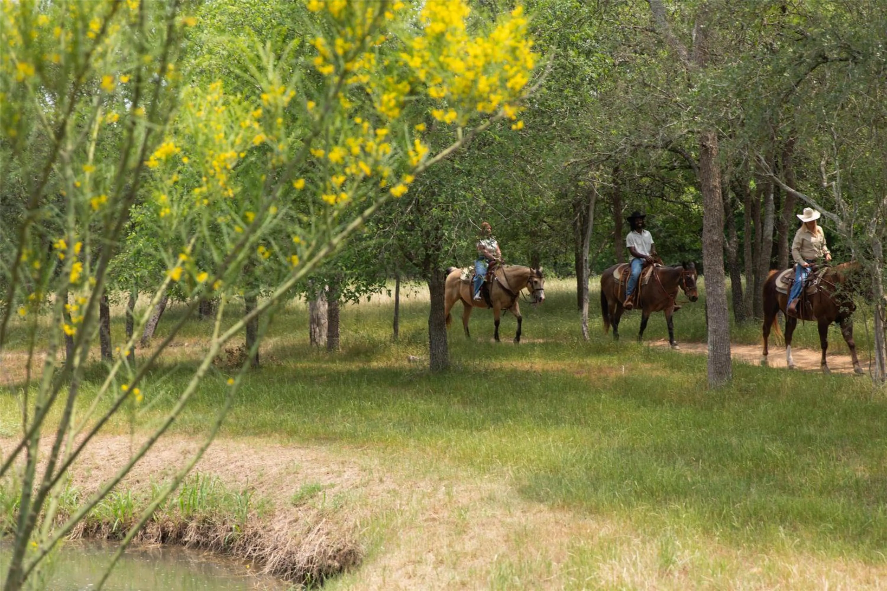 Hyatt Regency Lost Pines Resort and Spa