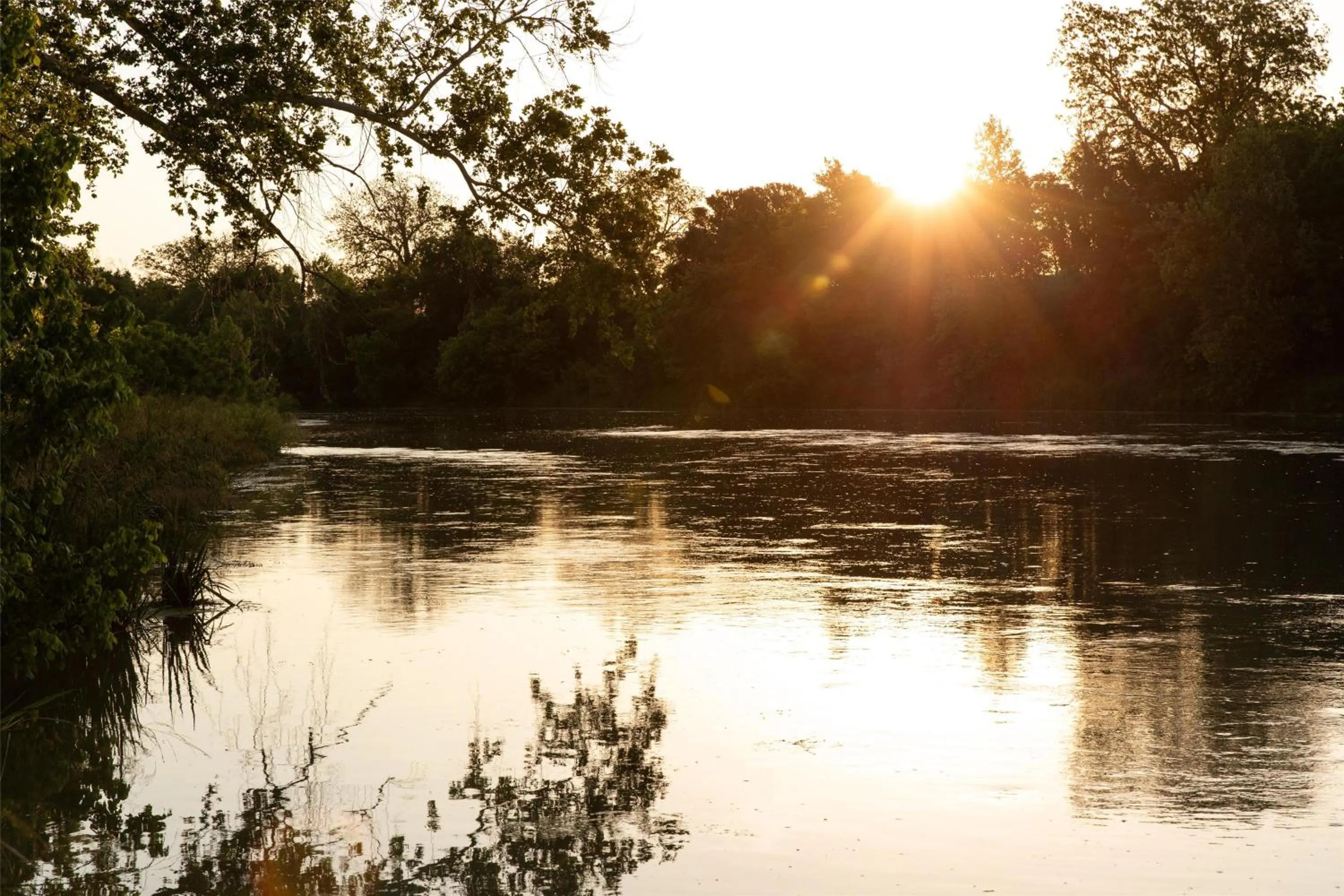Fitness centre/facilities in Hyatt Regency Lost Pines Resort and Spa