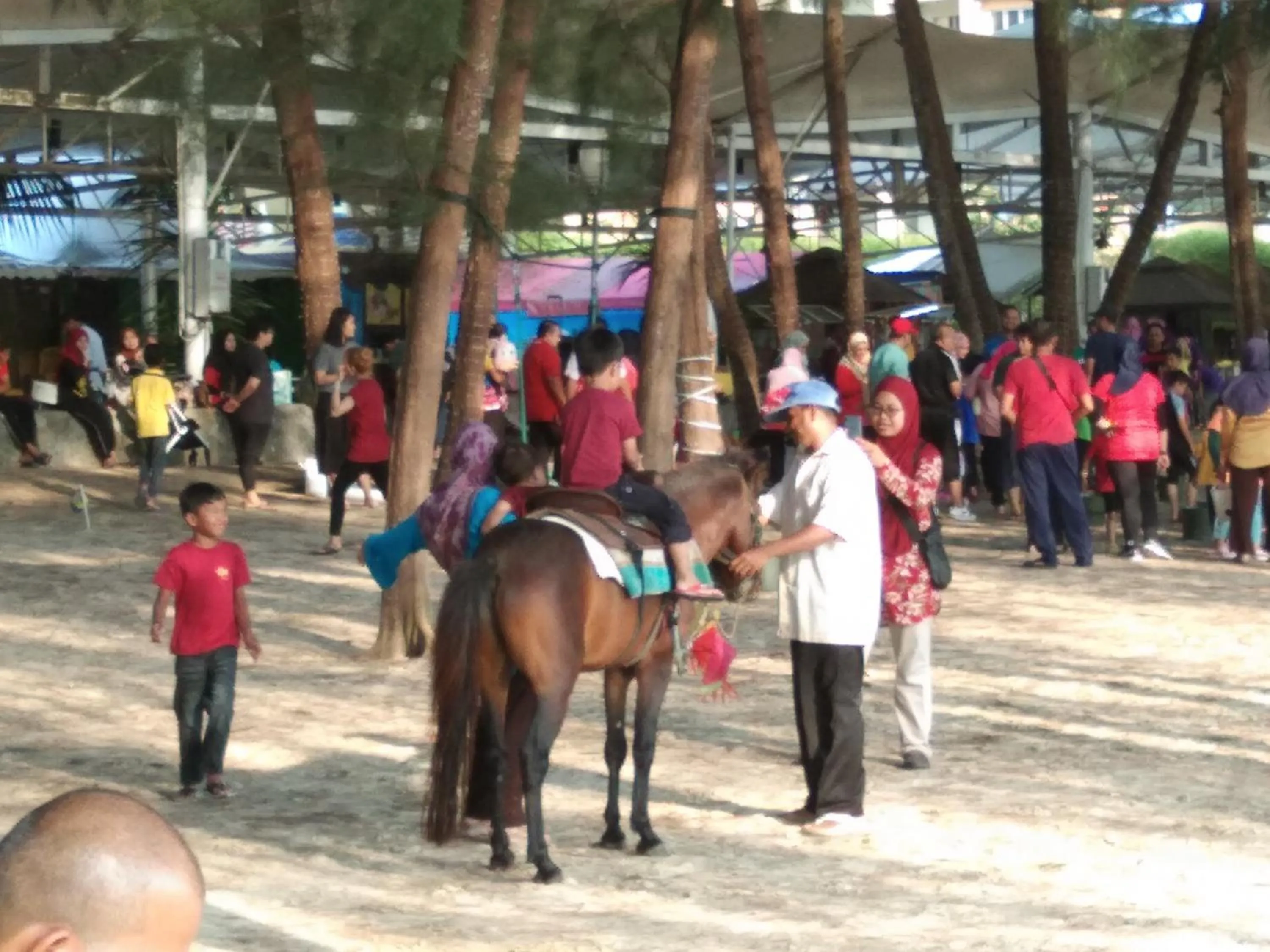 Gold Coast Morib International Resort 摩立黄金海岸度假屋