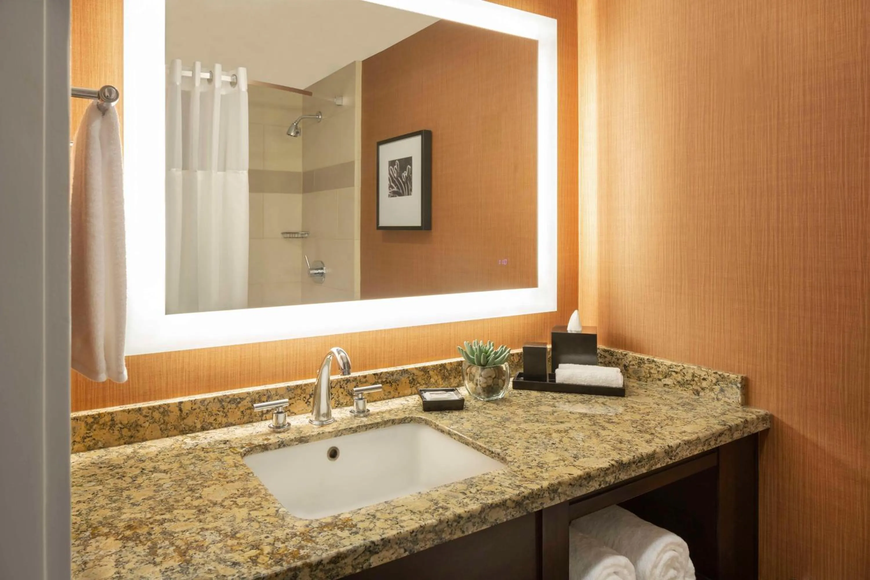 Bathroom in Hyatt Regency Phoenix Downtown