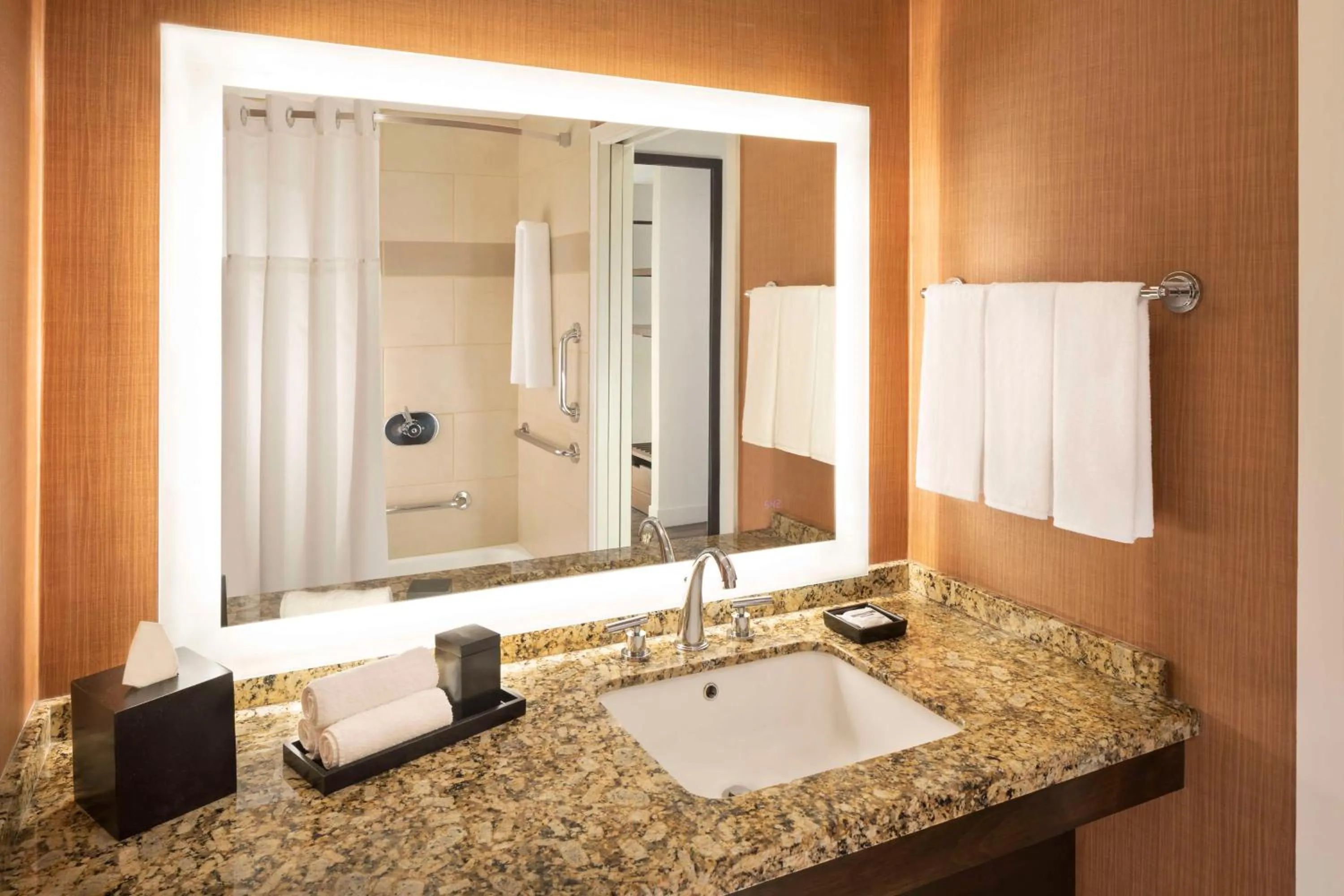 Bathroom in Hyatt Regency Phoenix Downtown