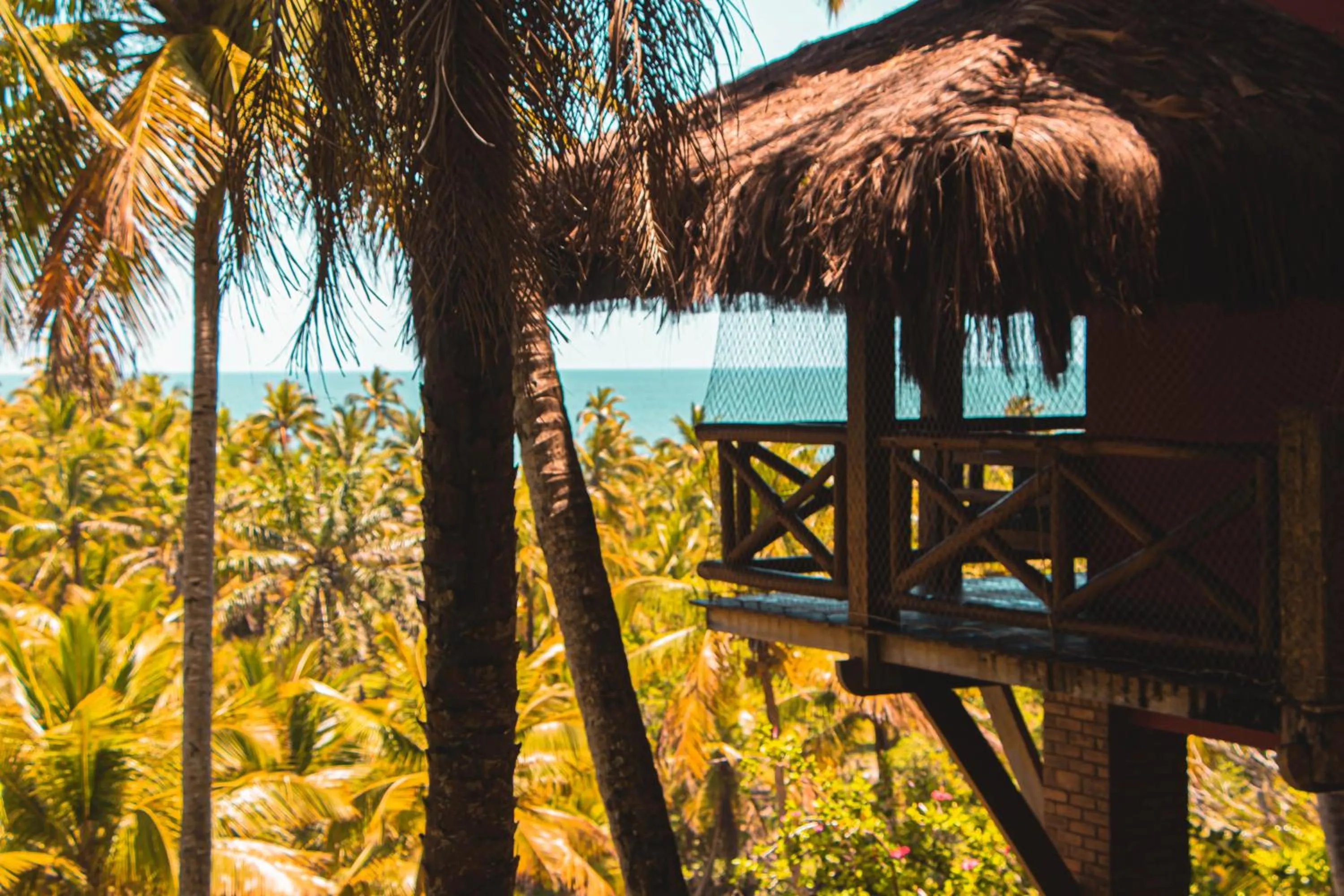 Natural landscape in São José Beach Club & Hotel