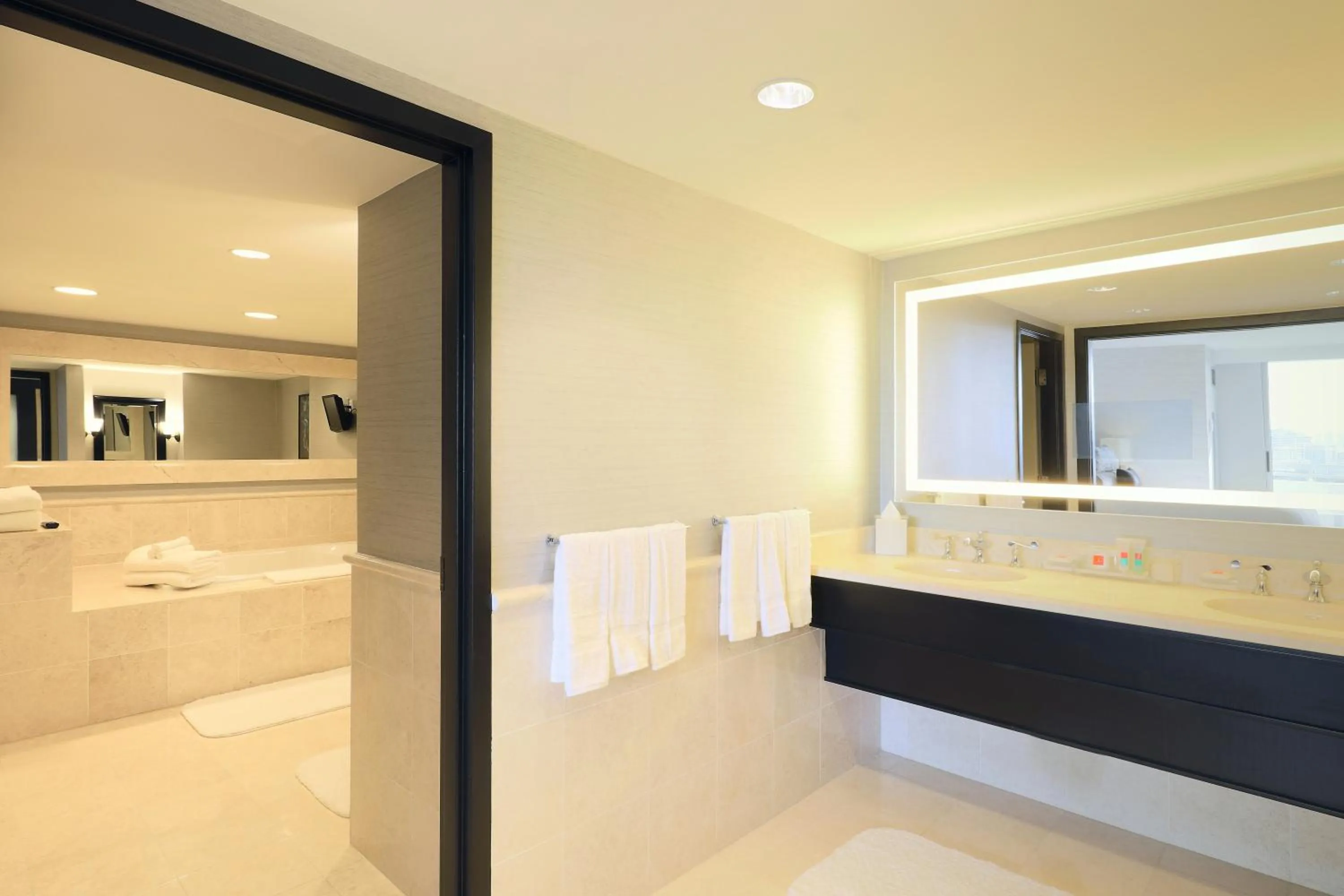 Bathroom in Loews Miami Beach Hotel