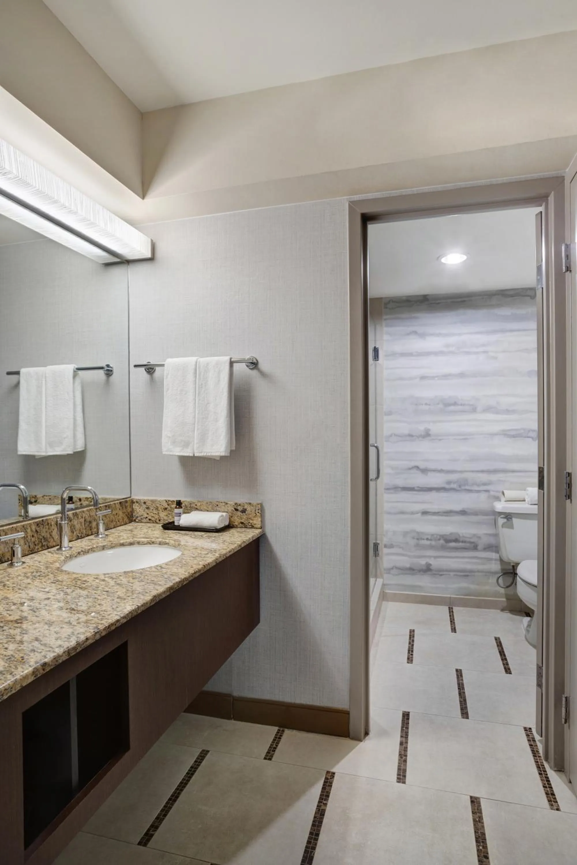 Bathroom in Hyatt Regency DFW International Airport