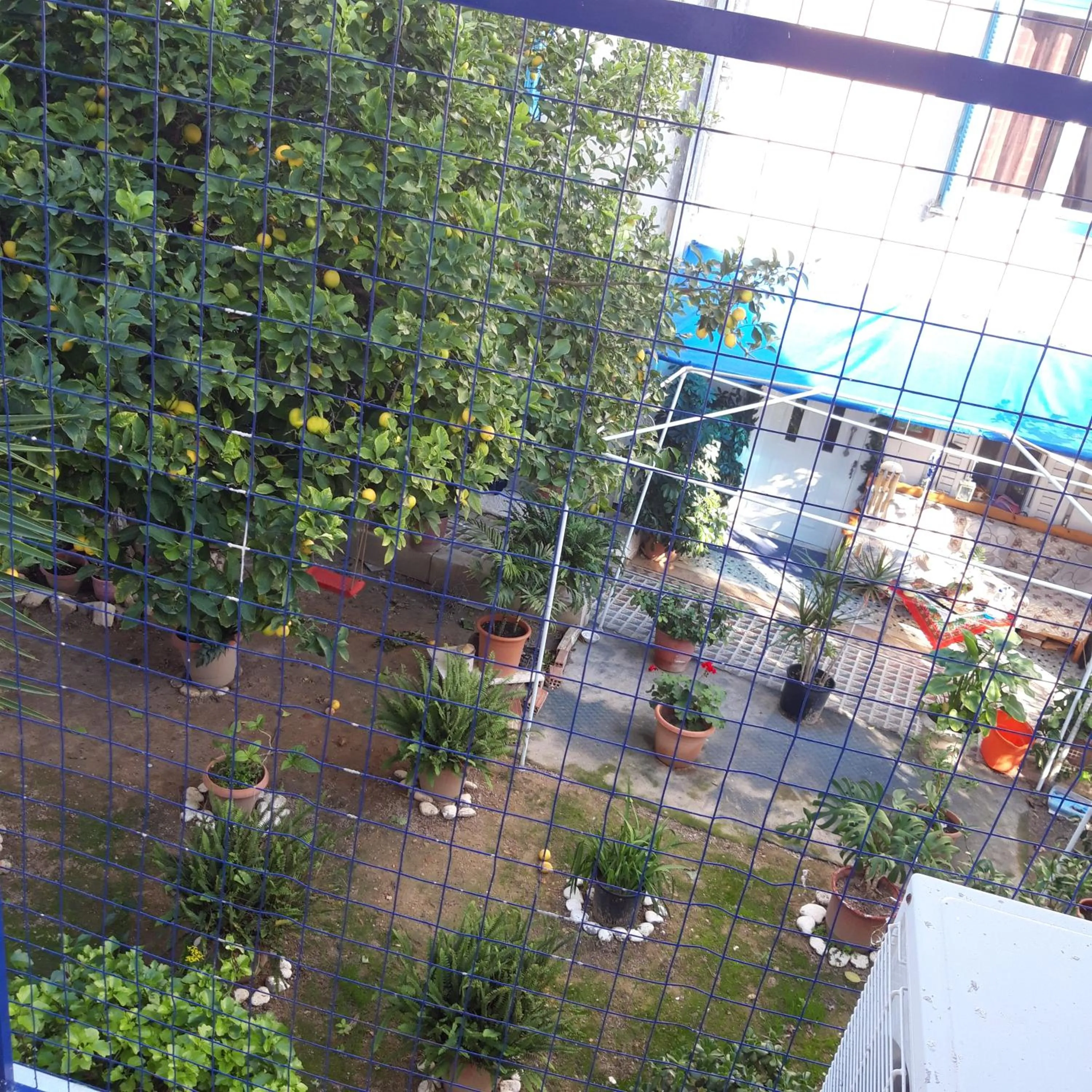 Aphrodite Art Hotel Aegina