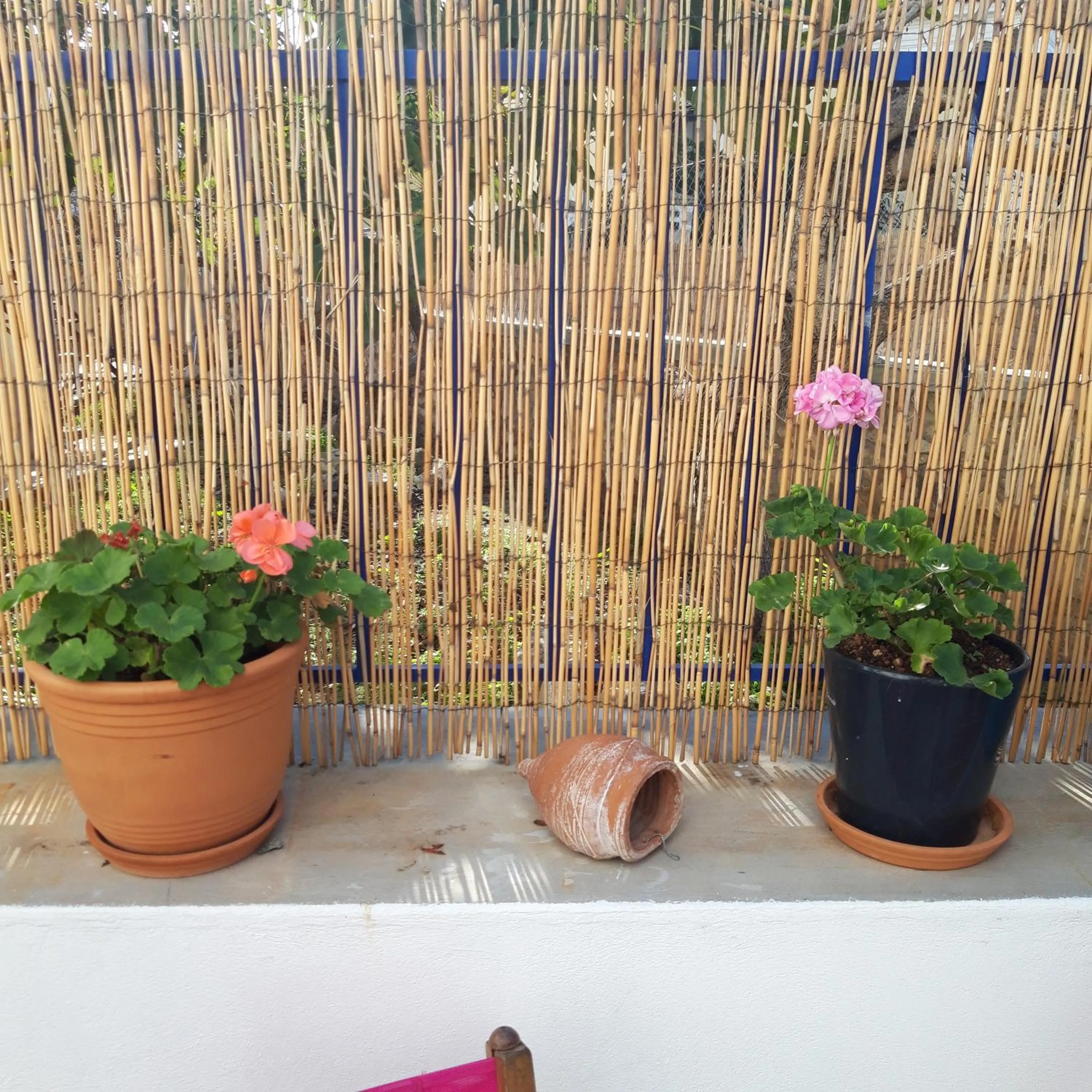 On site in Aphrodite Art Hotel Aegina