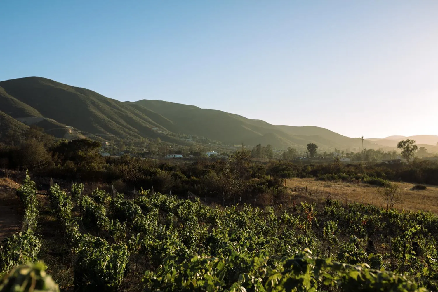 Mountain view in UvaUva eco-retreat