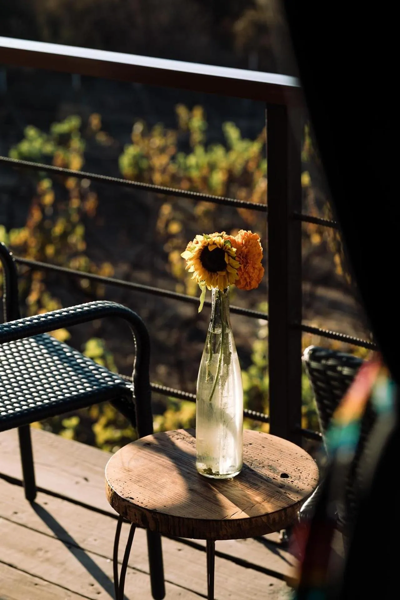 Patio in UvaUva eco-retreat