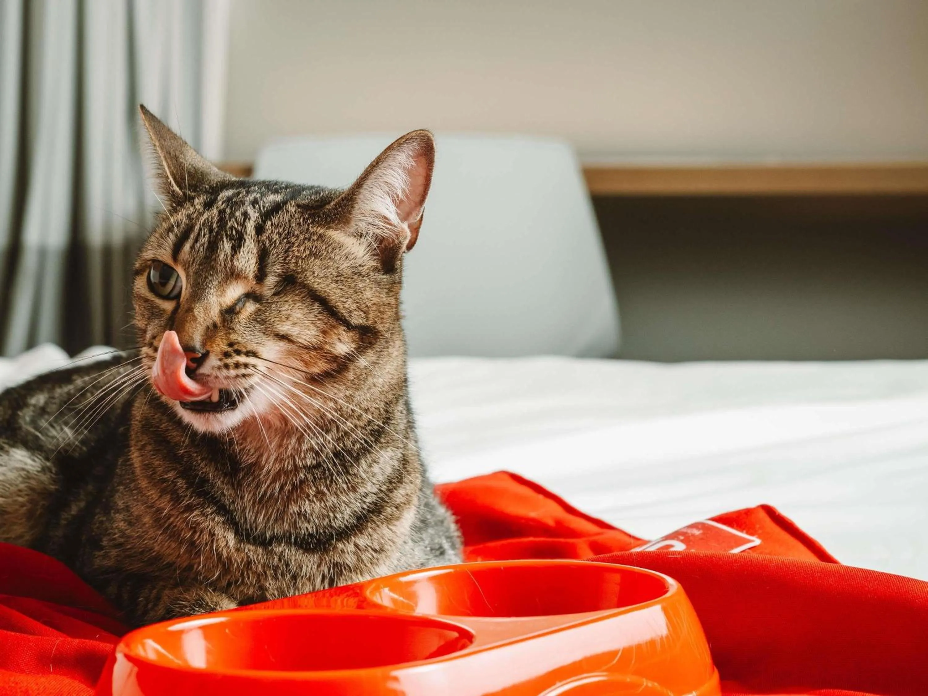 Other in ibis Juazeiro do Norte