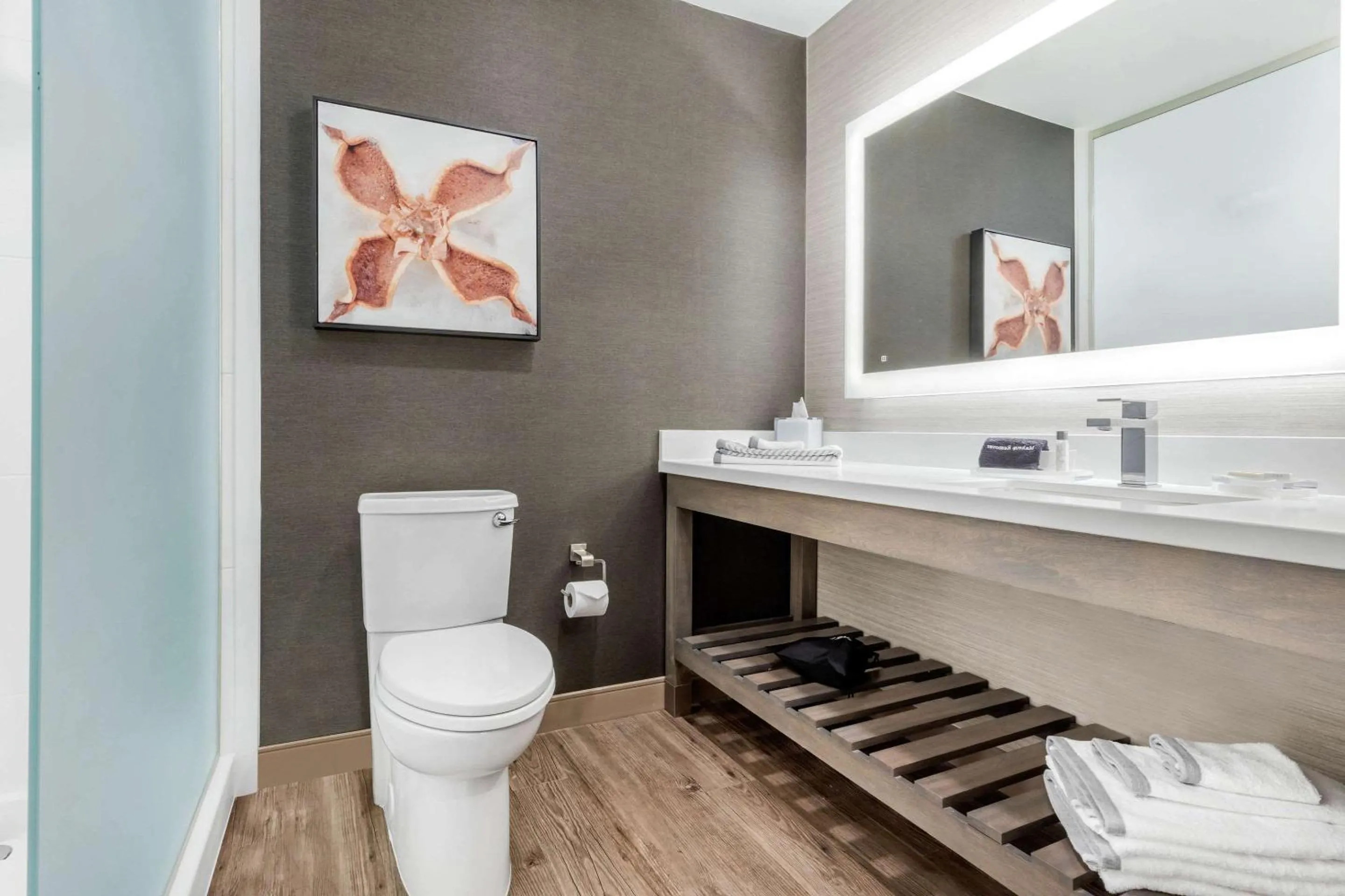 Bedroom in Cambria Hotel Fort Mill