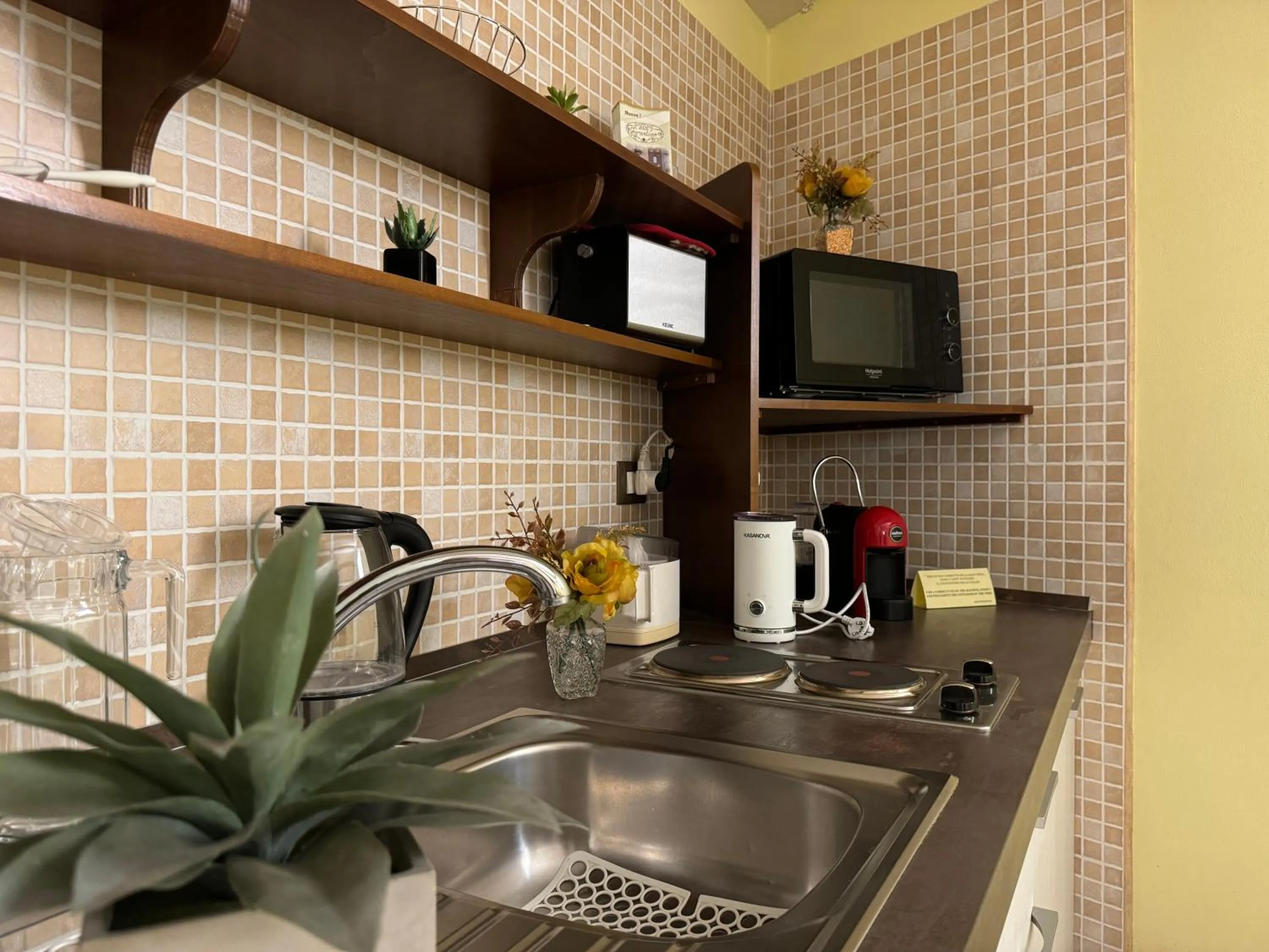 TV and multimedia in B&B Fiorentino