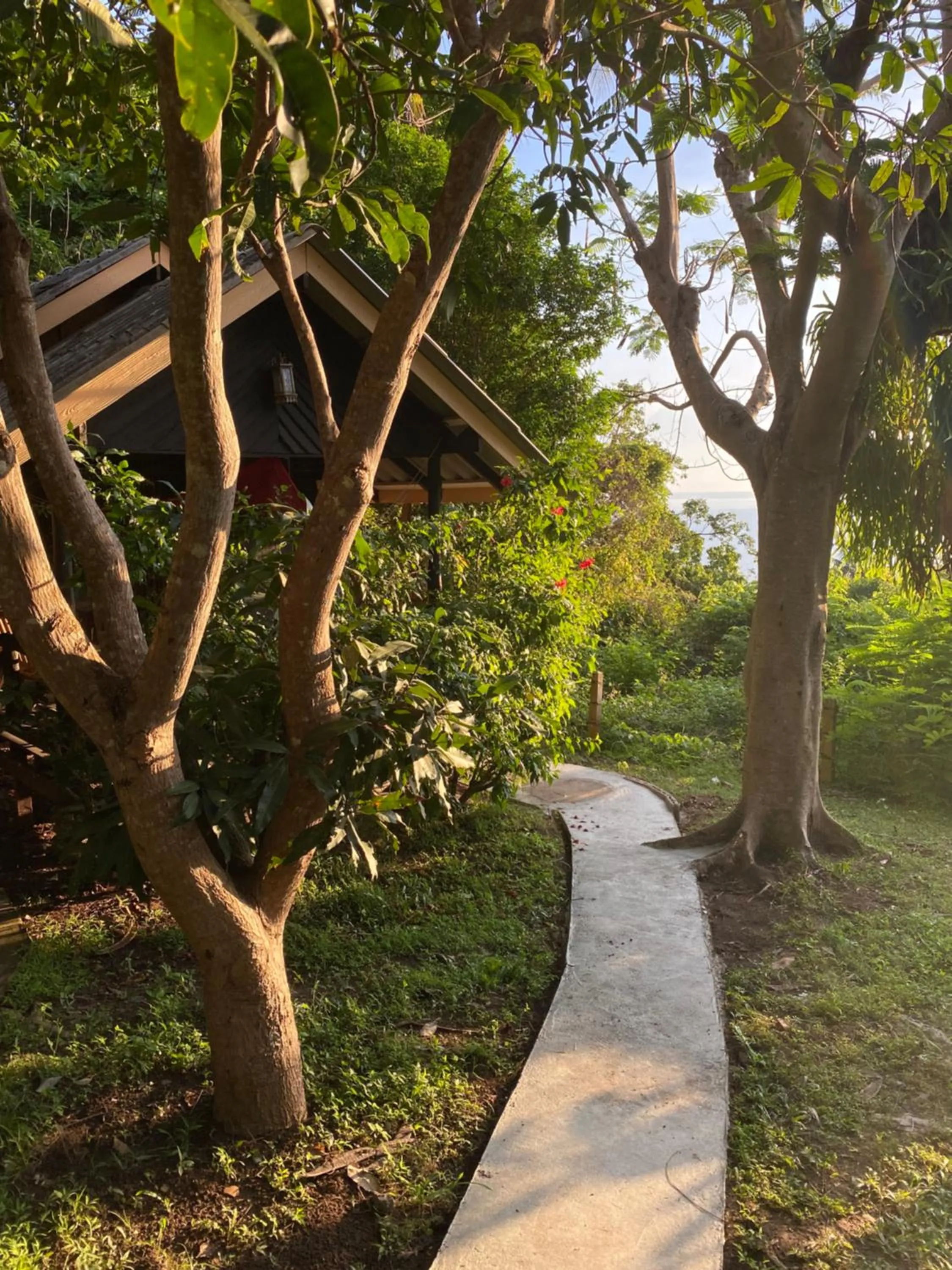 Garden view in Sairee View Resort