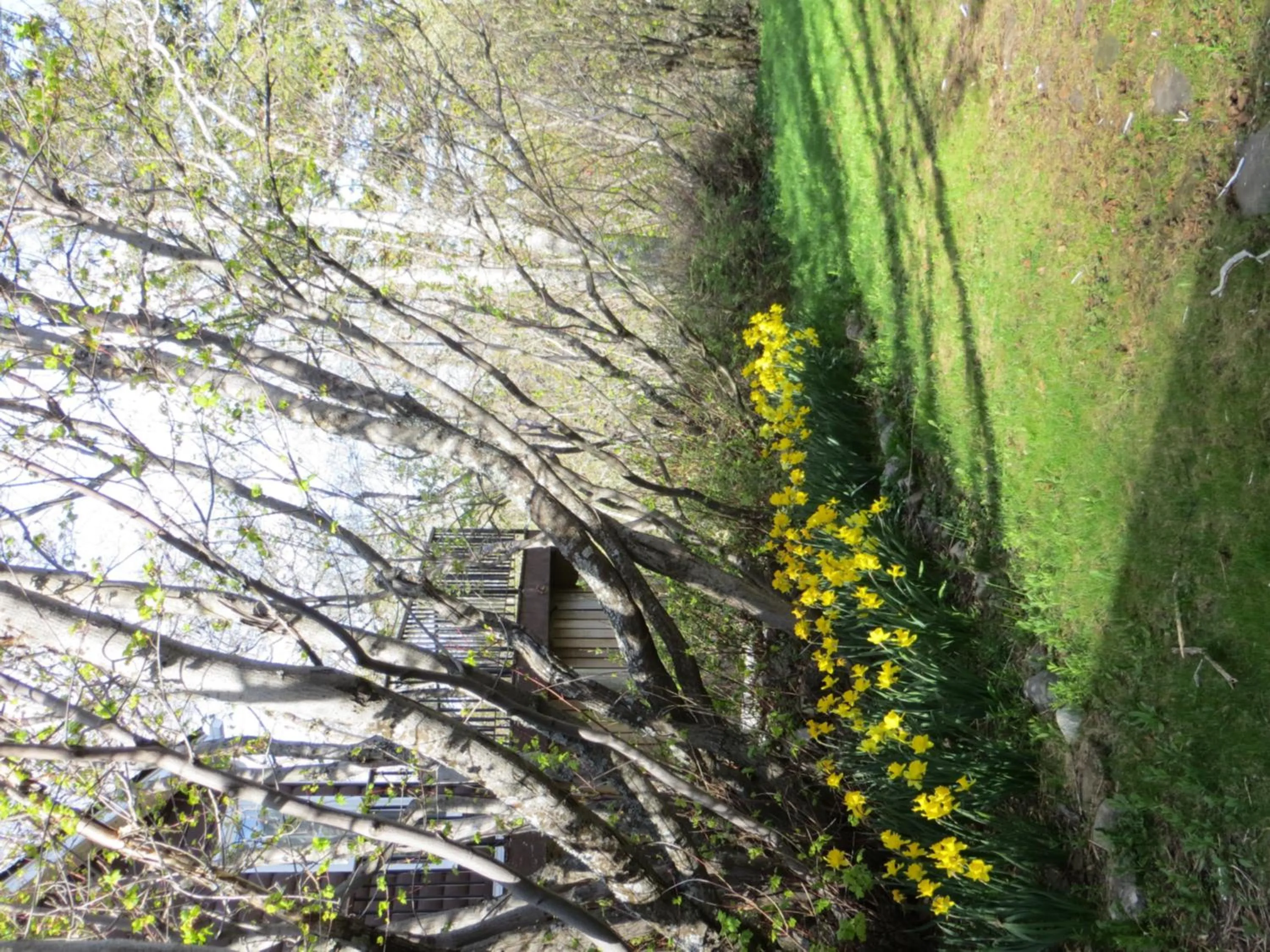 Garden in Northland Lodge