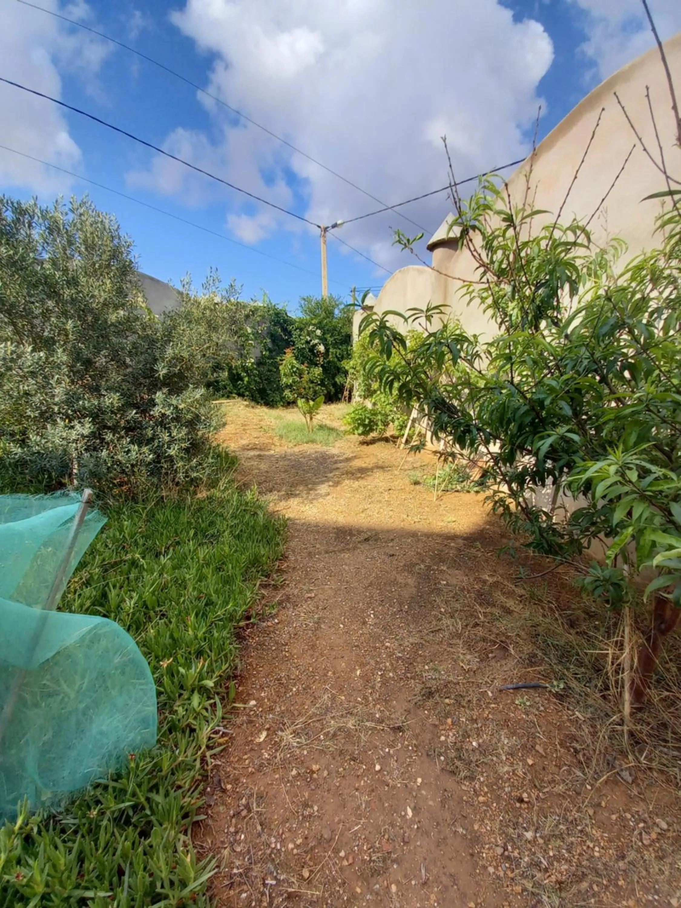 Garden in MAISON D’HÔTE LES TORTUES -