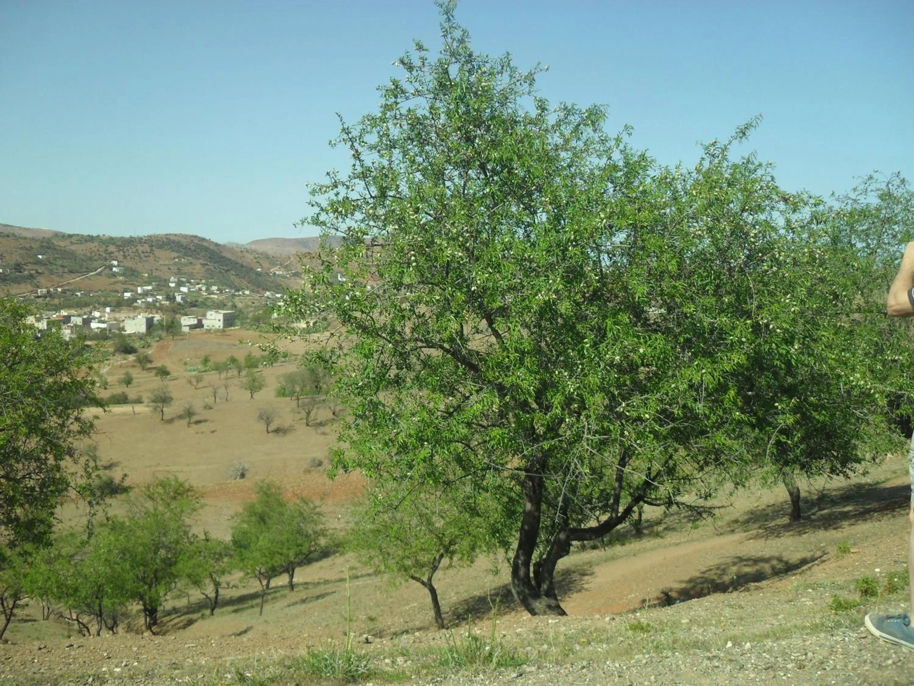 Natural landscape in MAISON D’HÔTE LES TORTUES -