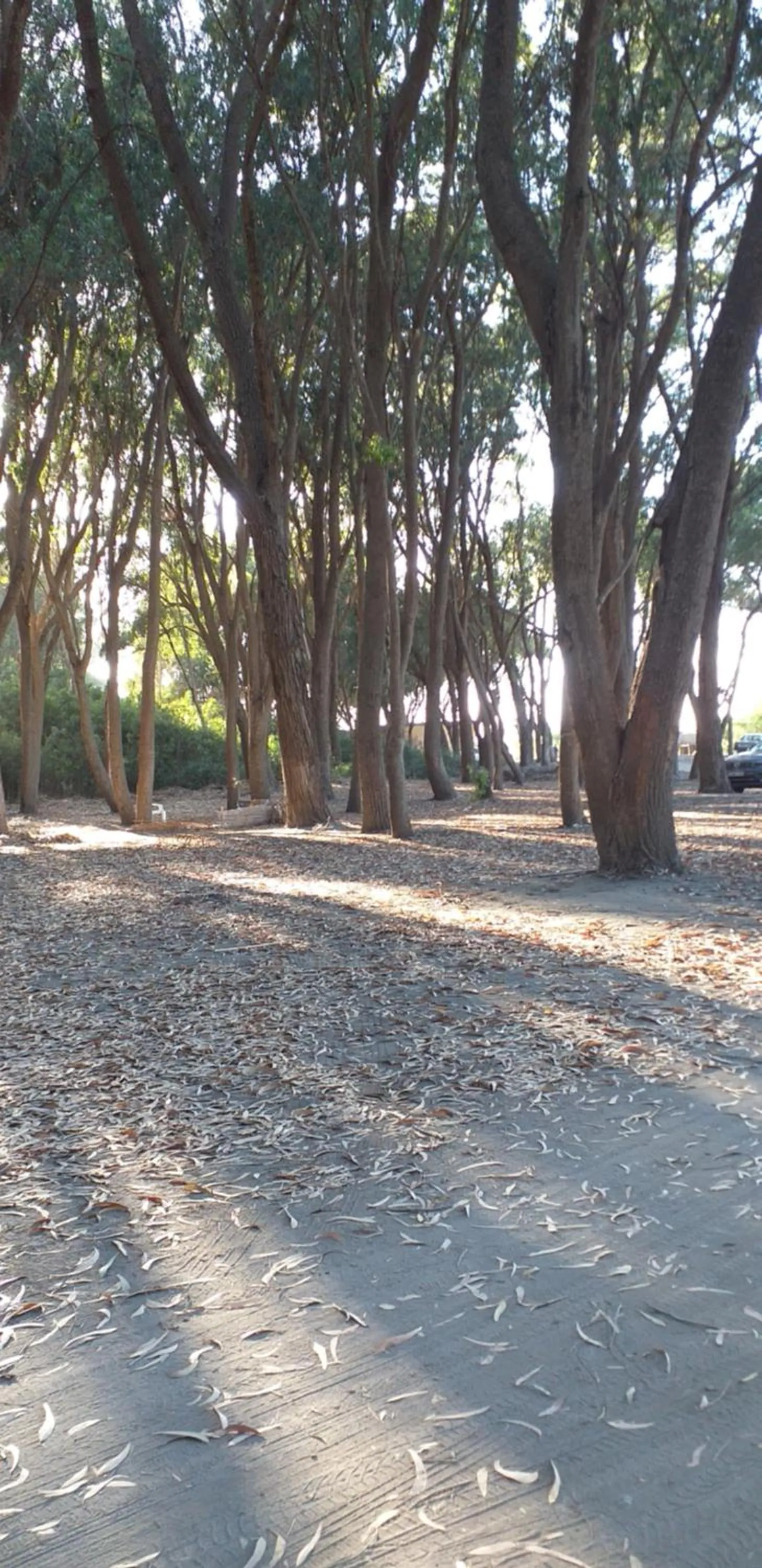 Natural landscape in MAISON D’HÔTE LES TORTUES -